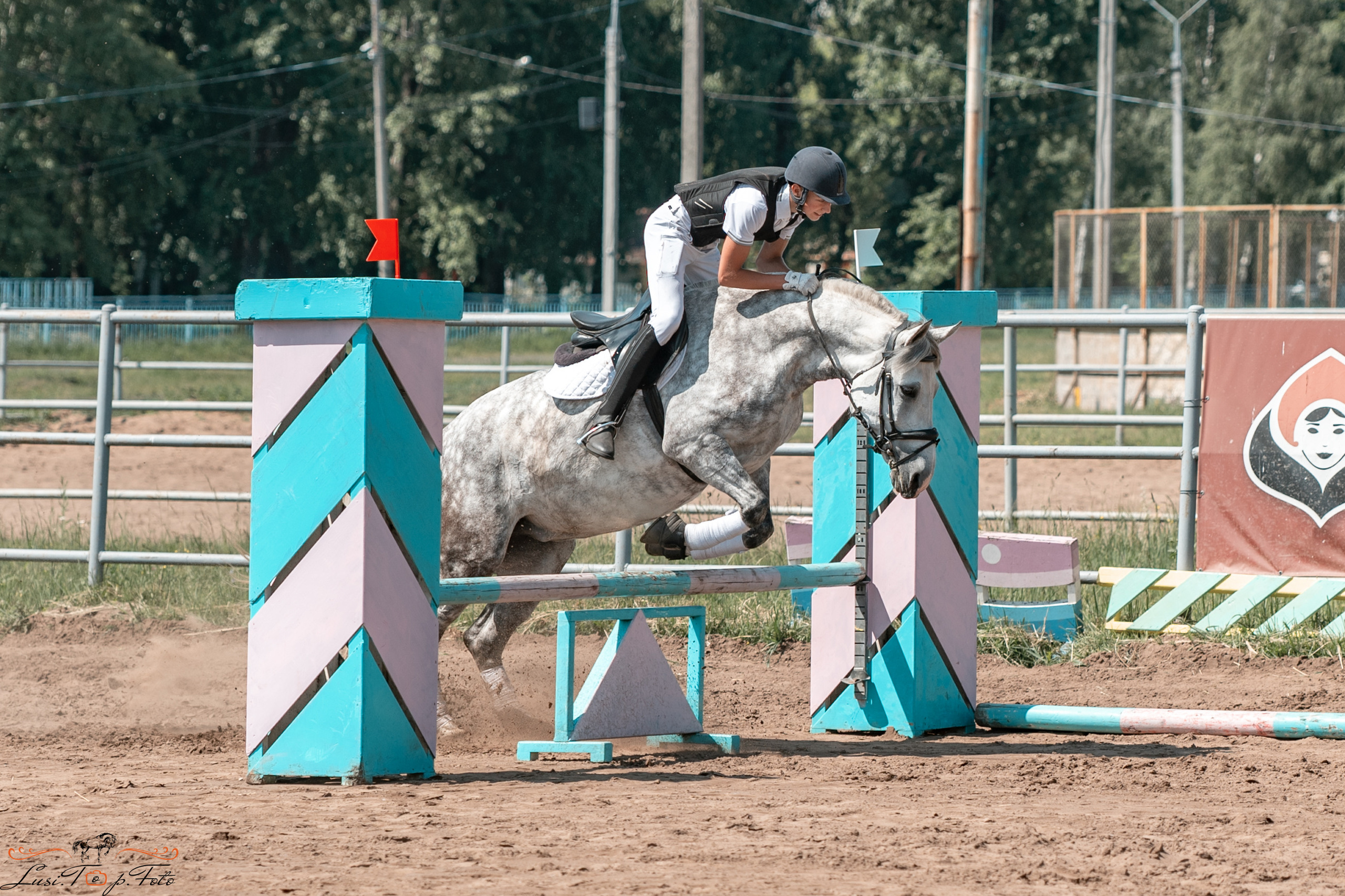Областной турнир по конкуру КСЦ им. Натальи Серовой. Конный и фотограф с животными в Твери Топталова Люся