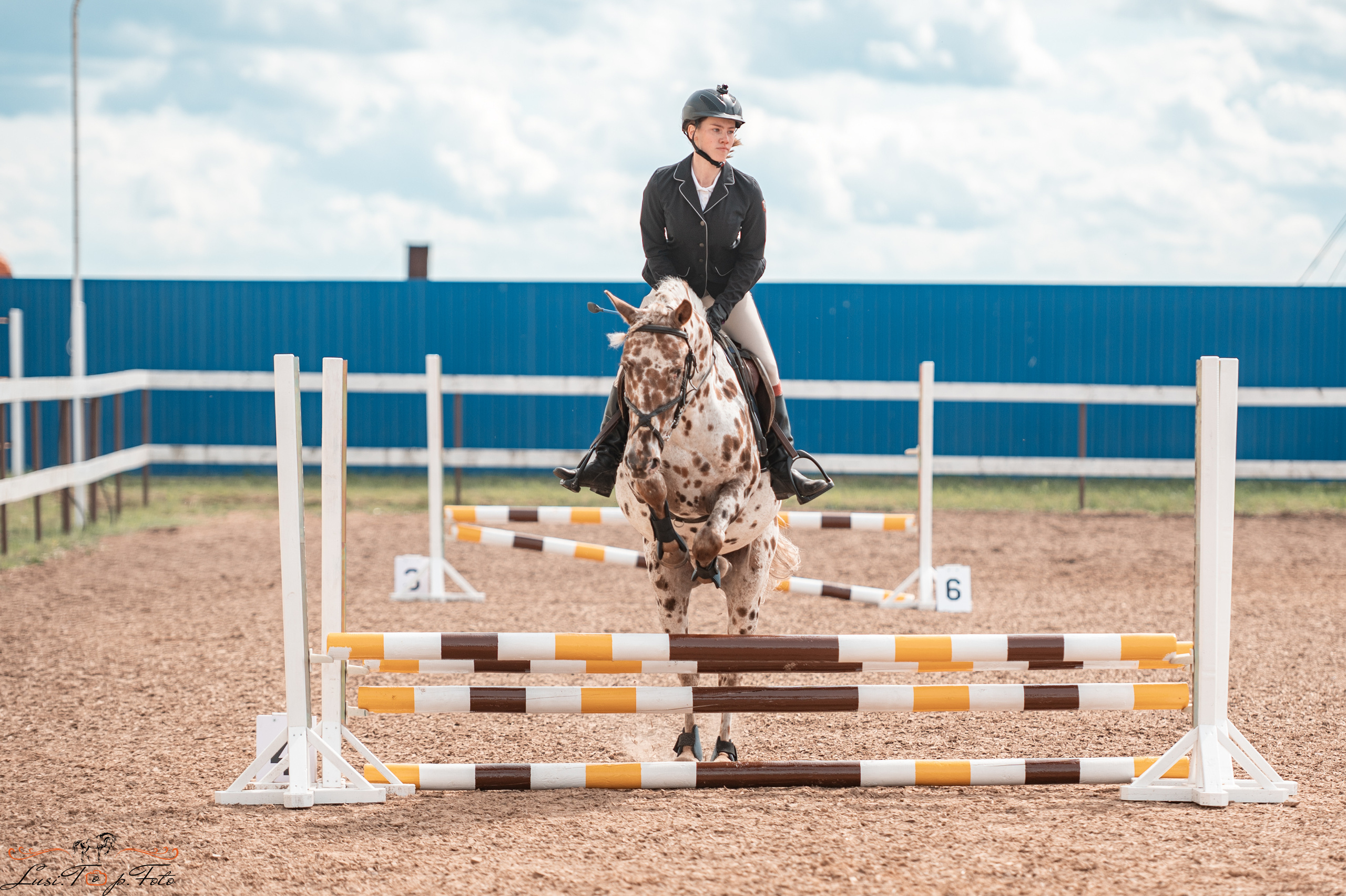 КК Резвая открытая тренировка, летний кубок. Конный и фотограф с животными в Твери Топталова Люся