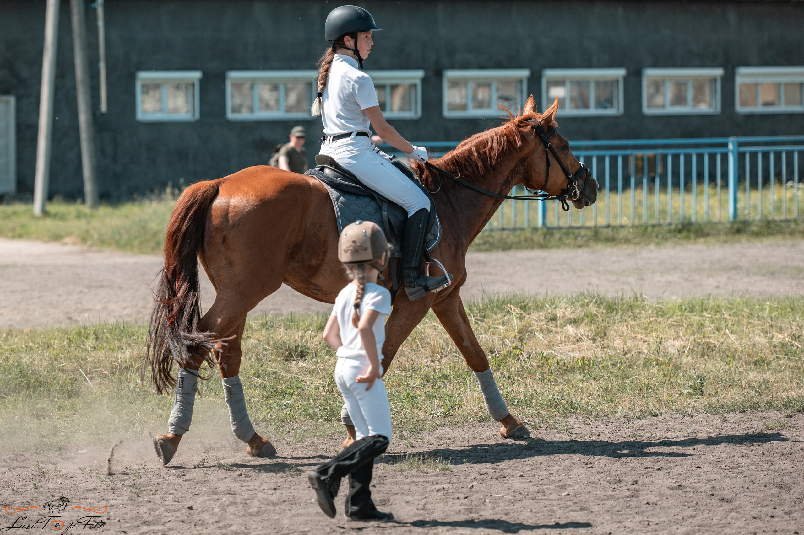 Областной турнир по конкуру КСЦ им. Натальи Серовой. Конный и фотограф с животными в Твери Топталова Люся