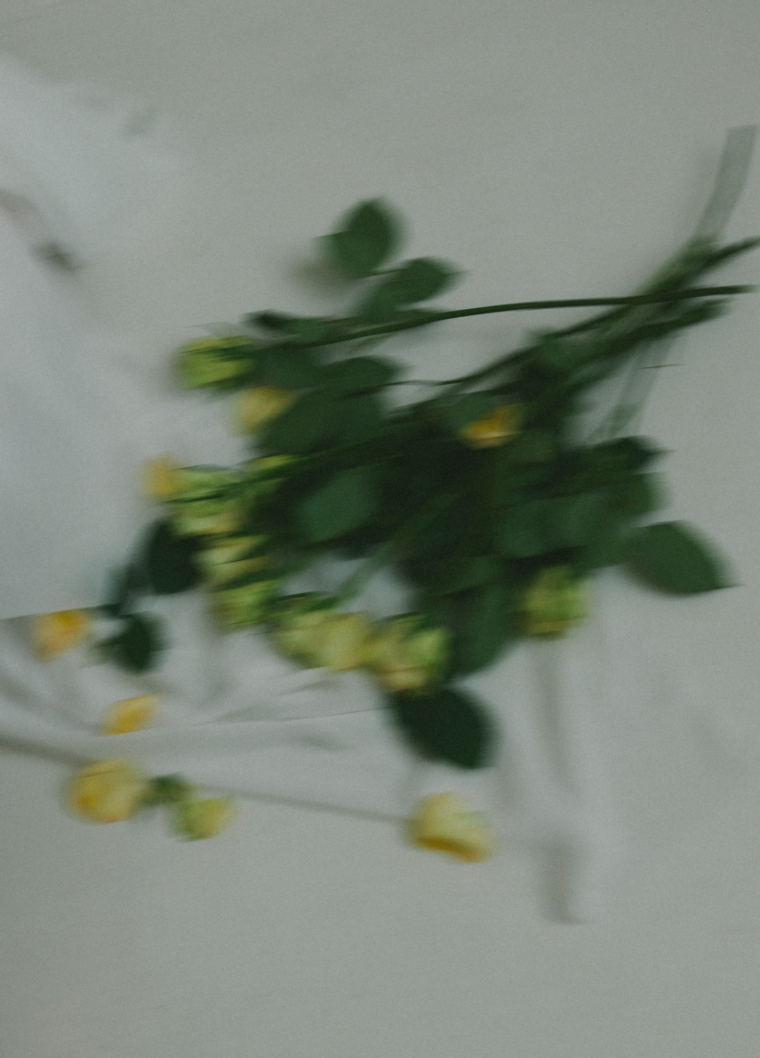 Фотограф Стилист Тюмень Вера Хайруллина