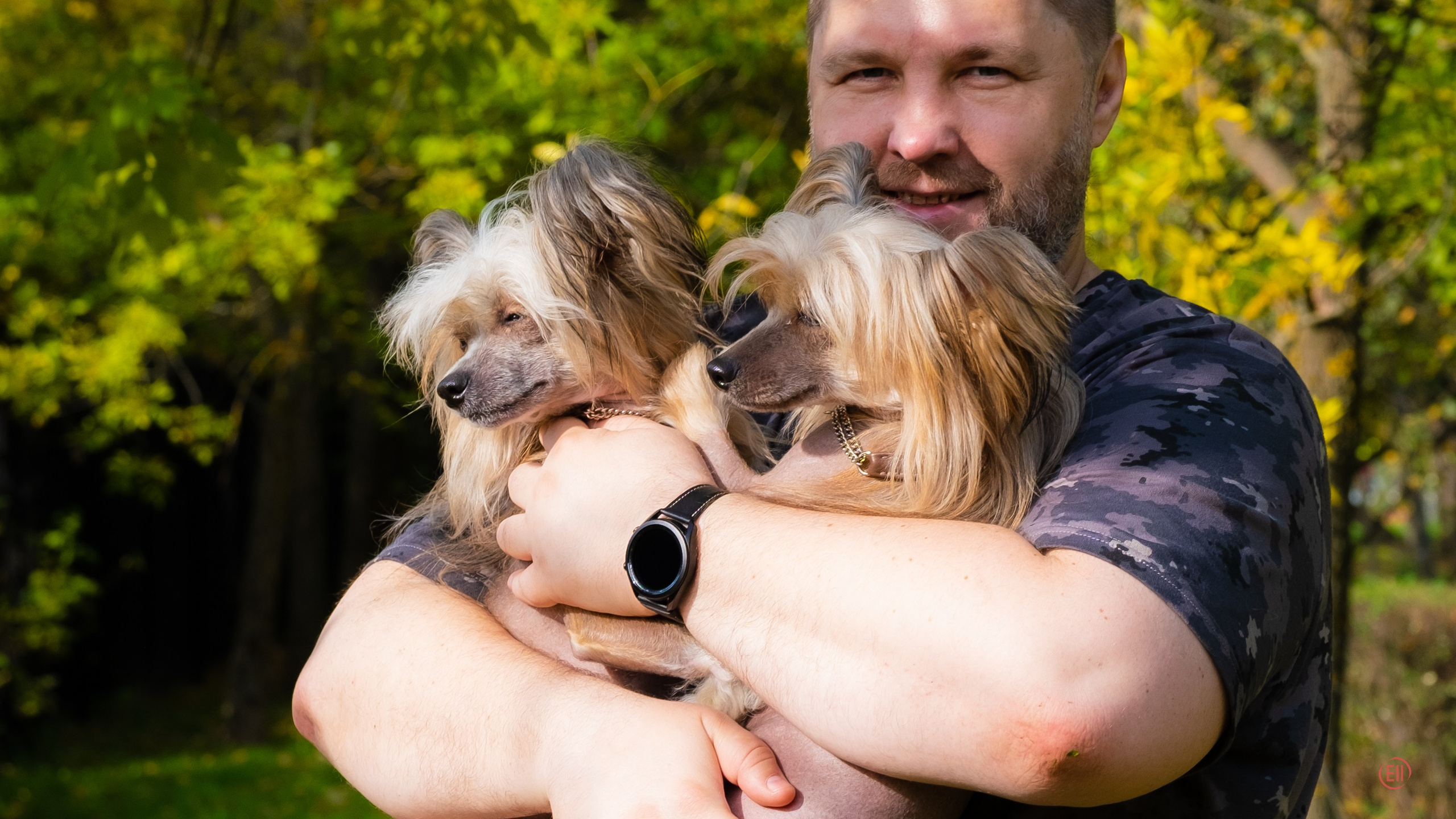 On a walk. Chinese Crested Dog Kennel Poale Ell