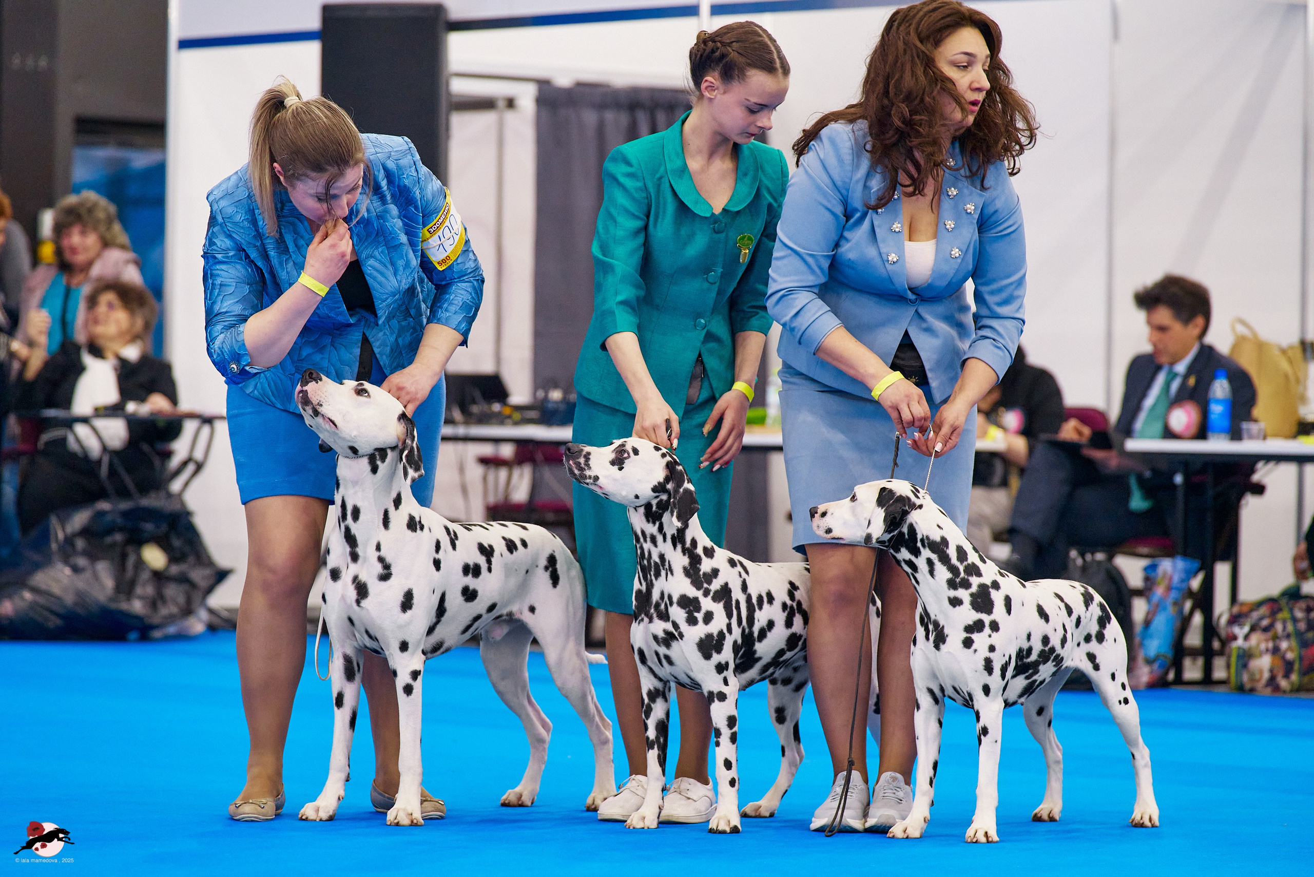 ГРАН ПРИ «ВЕСЕННИЙ ПЕТЕРБУРГ» & «СУПЕР КУБОК «ЭЛИТЫ»-2025»