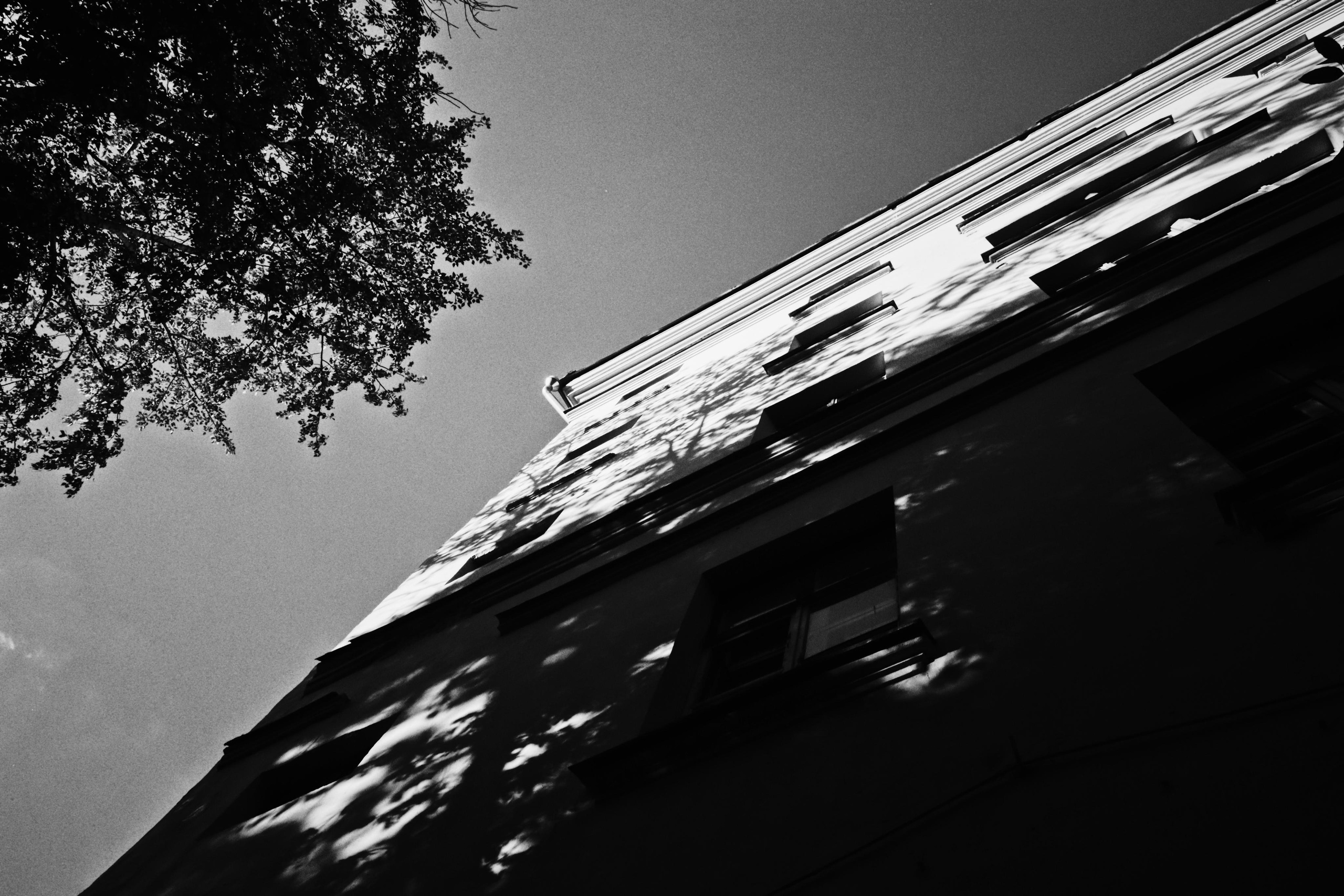 «You won't find a single person who'd say: I want to live here». Photographer in Israel Alice Milchin