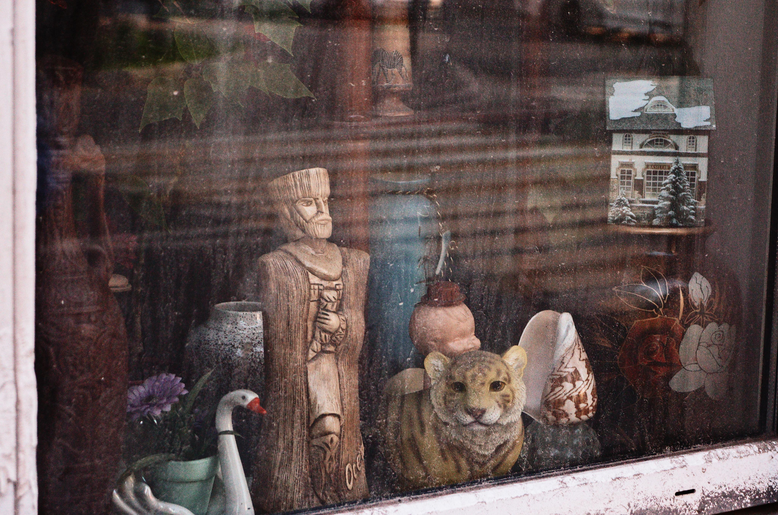 «You won't find a single person who'd say: I want to live here». Photographer in Israel Alice Milchin