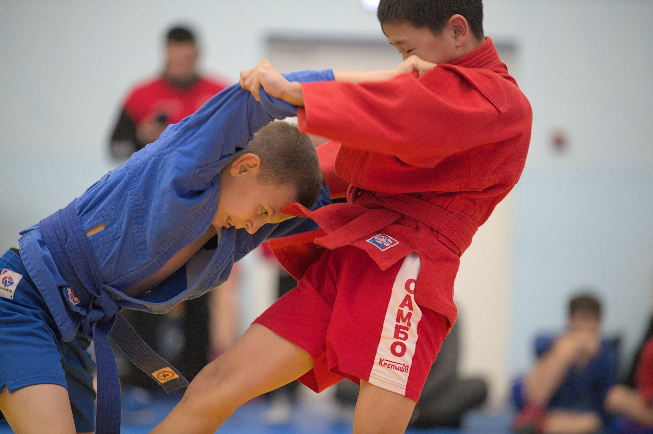 Самбо. Региональные соревнования «Невские звезды». Фото детских спортивных мероприятий и всякое интересное через объектив
