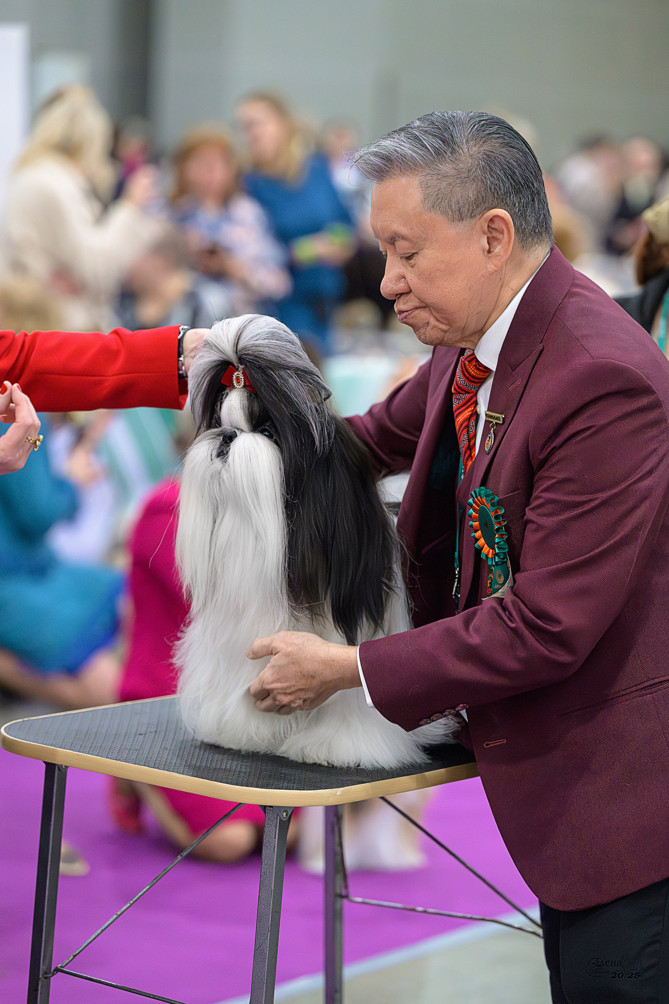 15-16.11.2025 ЕВРАЗИЯ г. Москва. Фотограф анималист Елена Галдина г. Красноярск