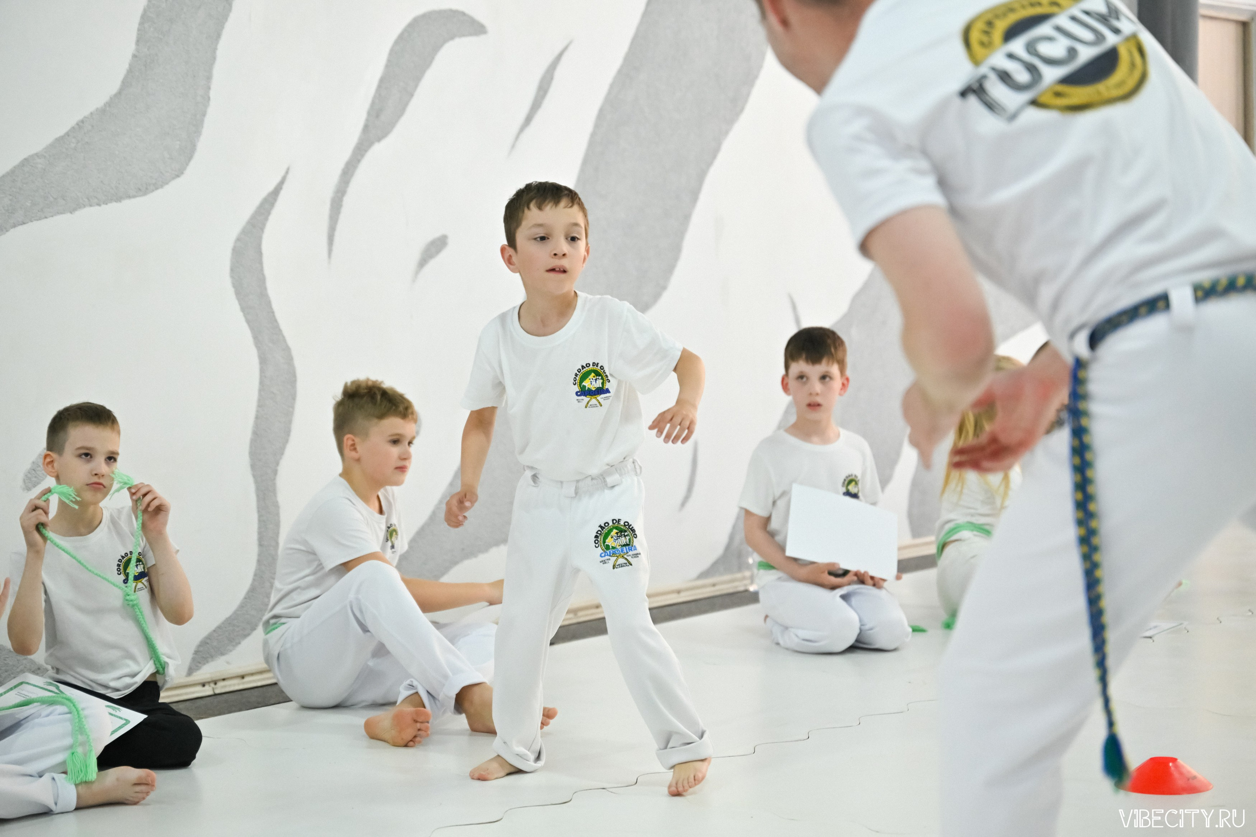 Capoeira: 4-е batizado e Troca de cordao. VIBECITY.RU Вайб Сити Ру Фоторепортажи Фотоотчеты Калининград