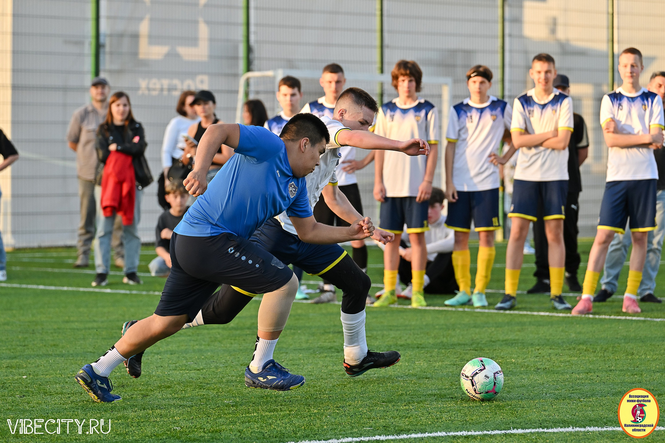 ИГРЫ МИНИ-ФУТБОЛЬНОЙ И КОРПОРАТИВНОЙ ЛИГИ. VIBECITY.RU Вайб Сити Ру Фоторепортажи Фотоотчеты Калининград