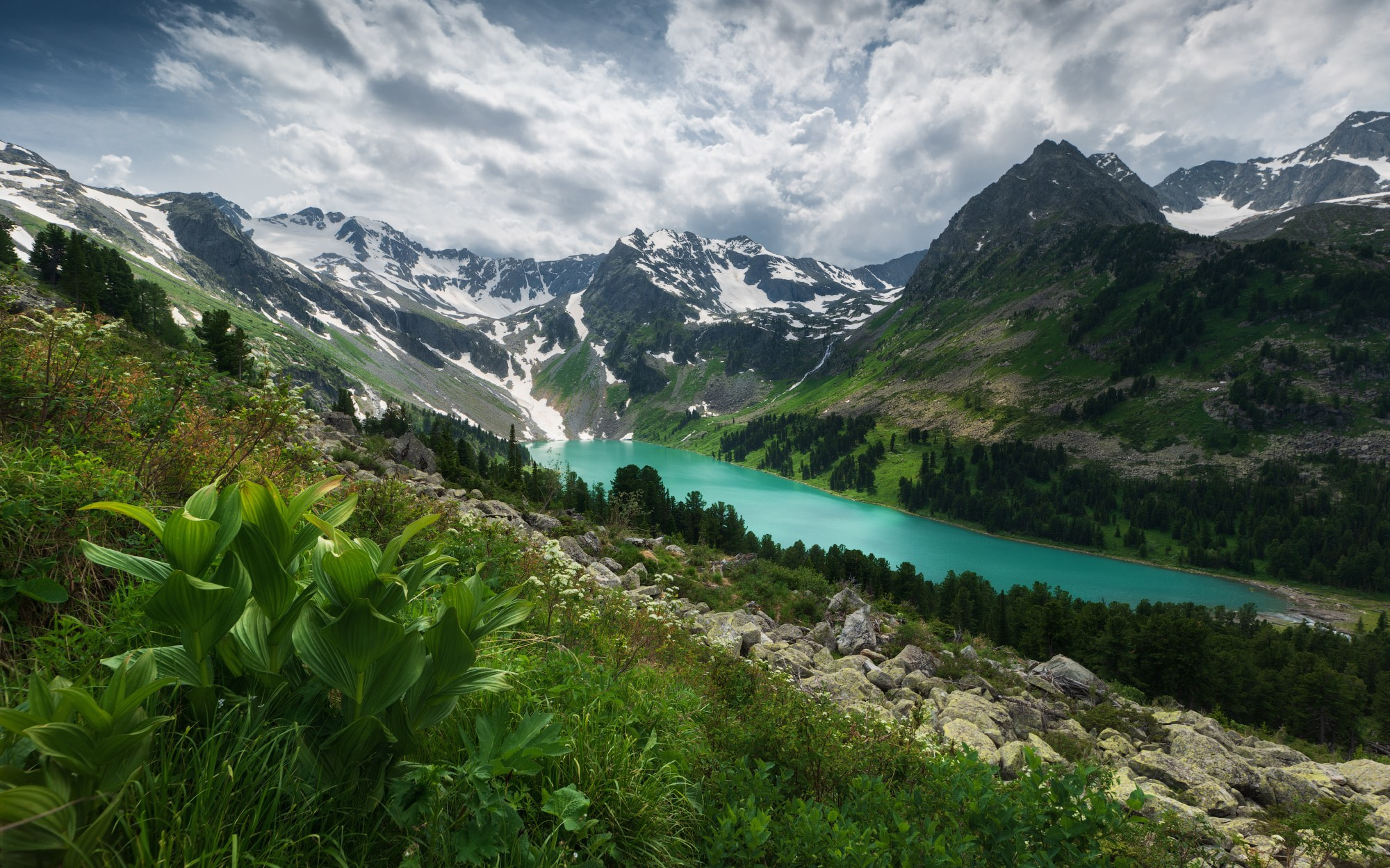 Лето в Горном Алтае. Профессиональный пейзажный фотограф Алёна Рубан