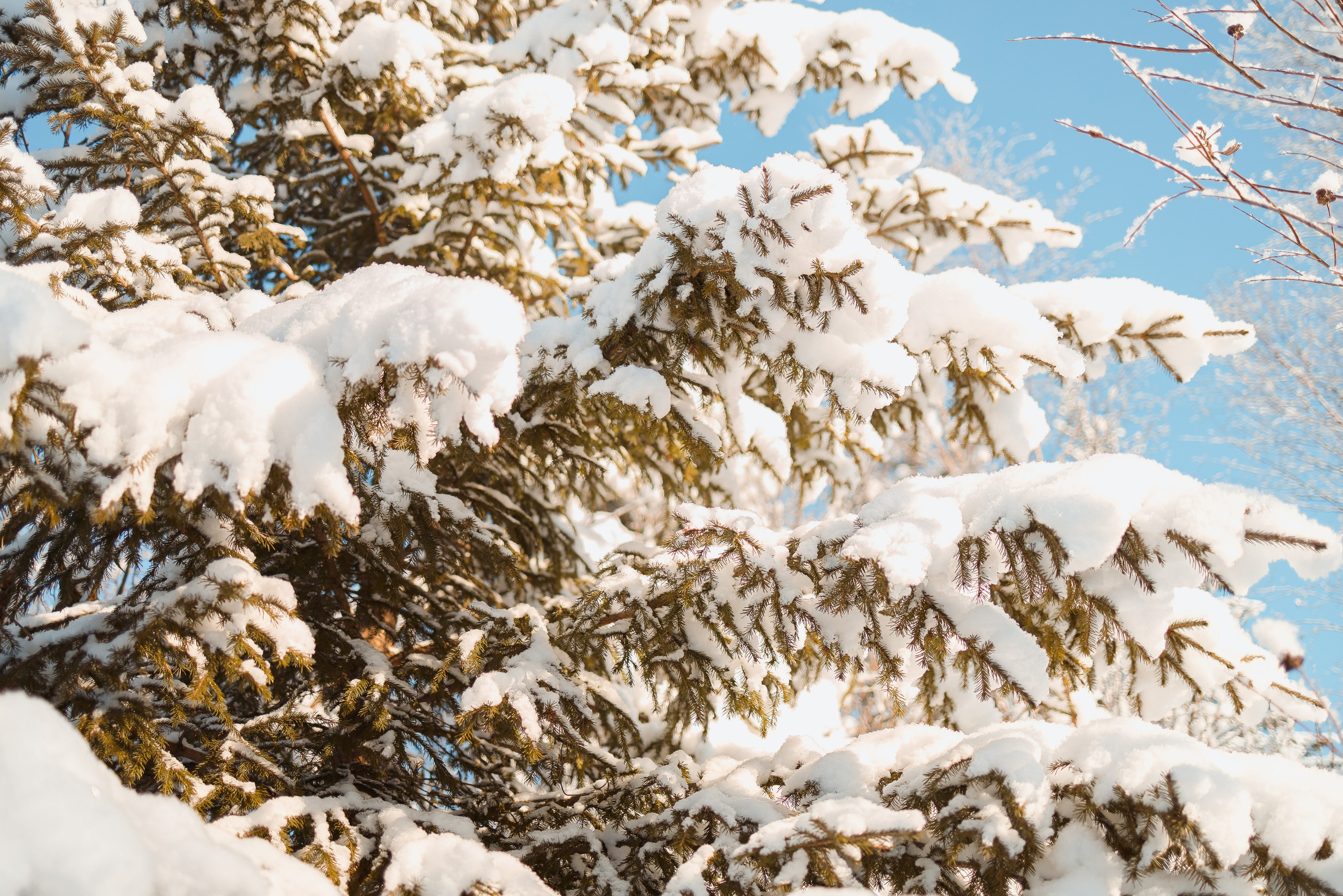 Зима 2023, -30. Семейный и детский фотограф в Железногорске Саламахо Ольга