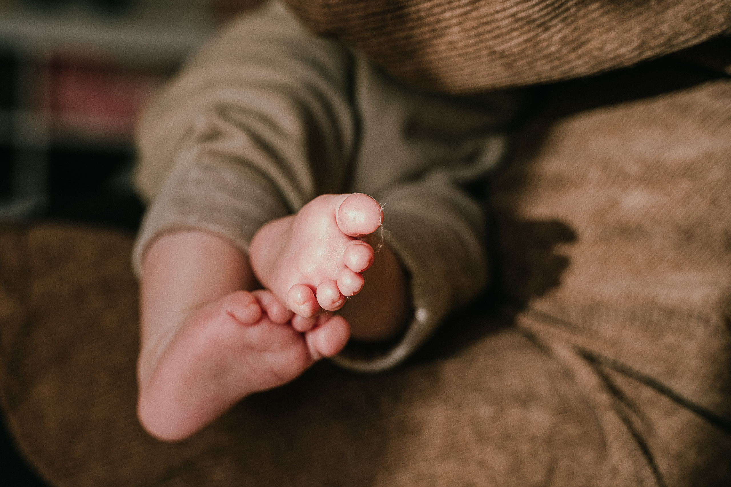 Servizi Fotografici Personalizzati a Lucca, fotografa a Domicilio. Family Lifestyle Photographer in Lucca, Italia