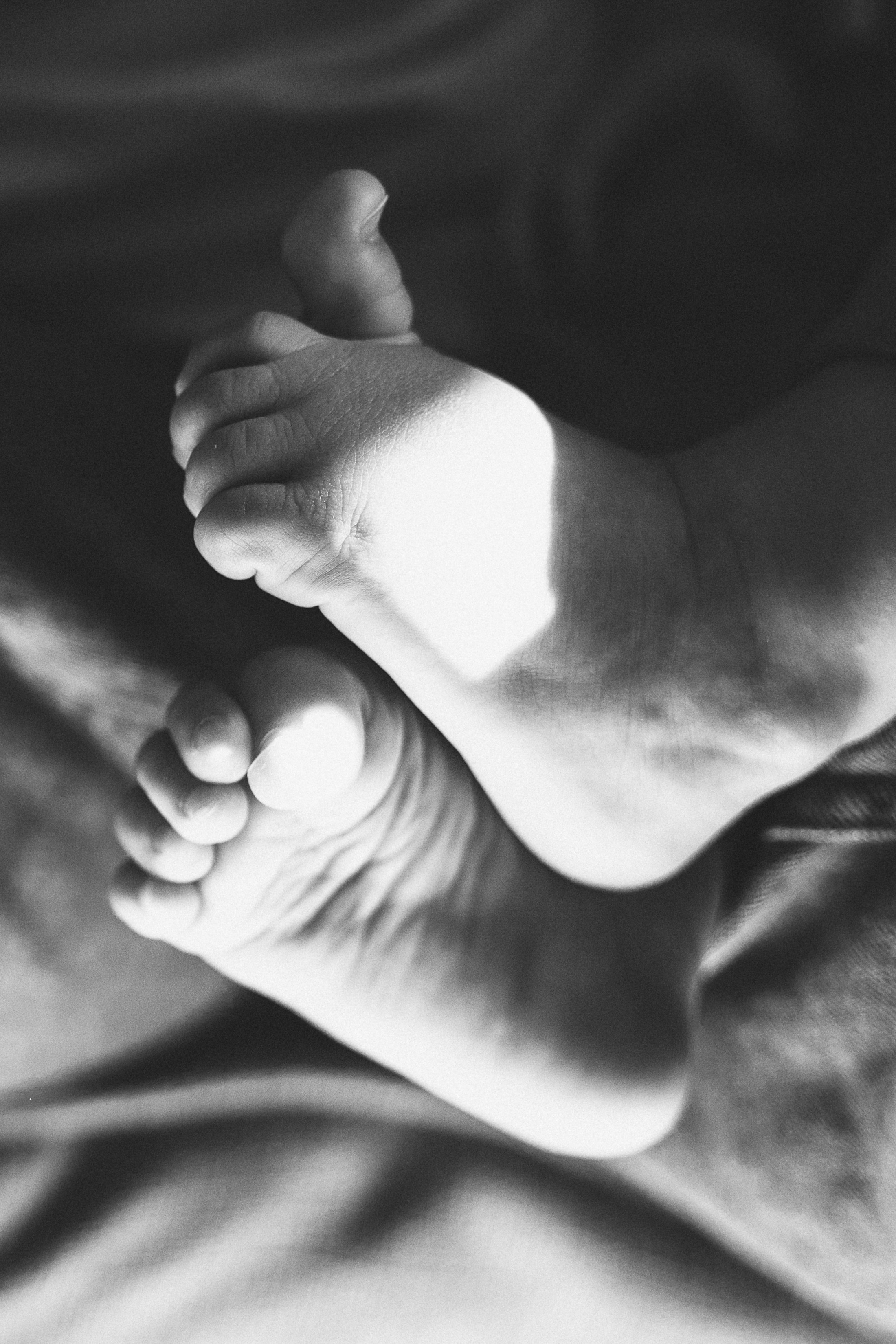 Servizi Fotografici Personalizzati a Lucca, fotografa a Domicilio. Family Lifestyle Photographer in Lucca, Italia