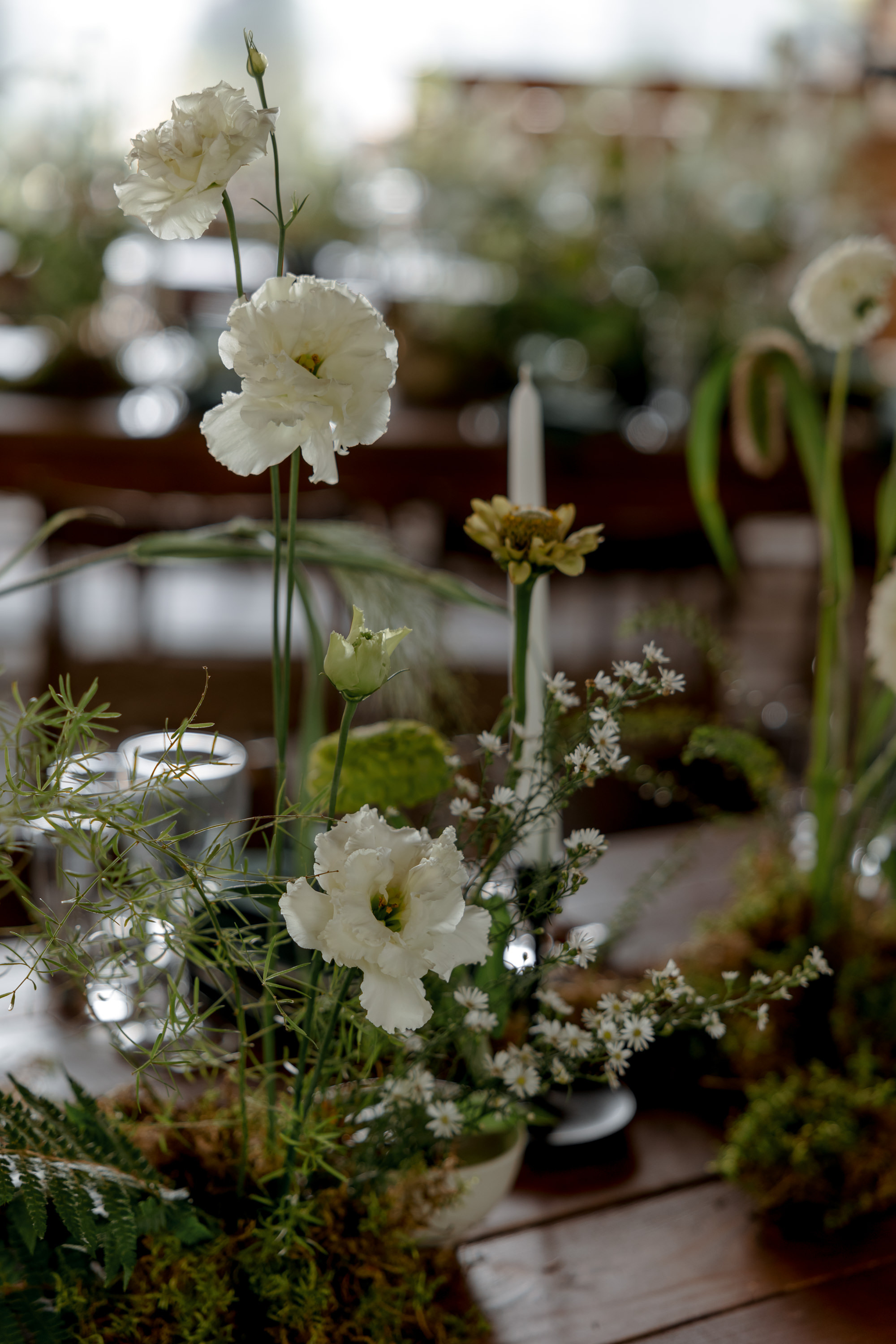 Поля и Леня. Свадебный фотограф Аня Милграм