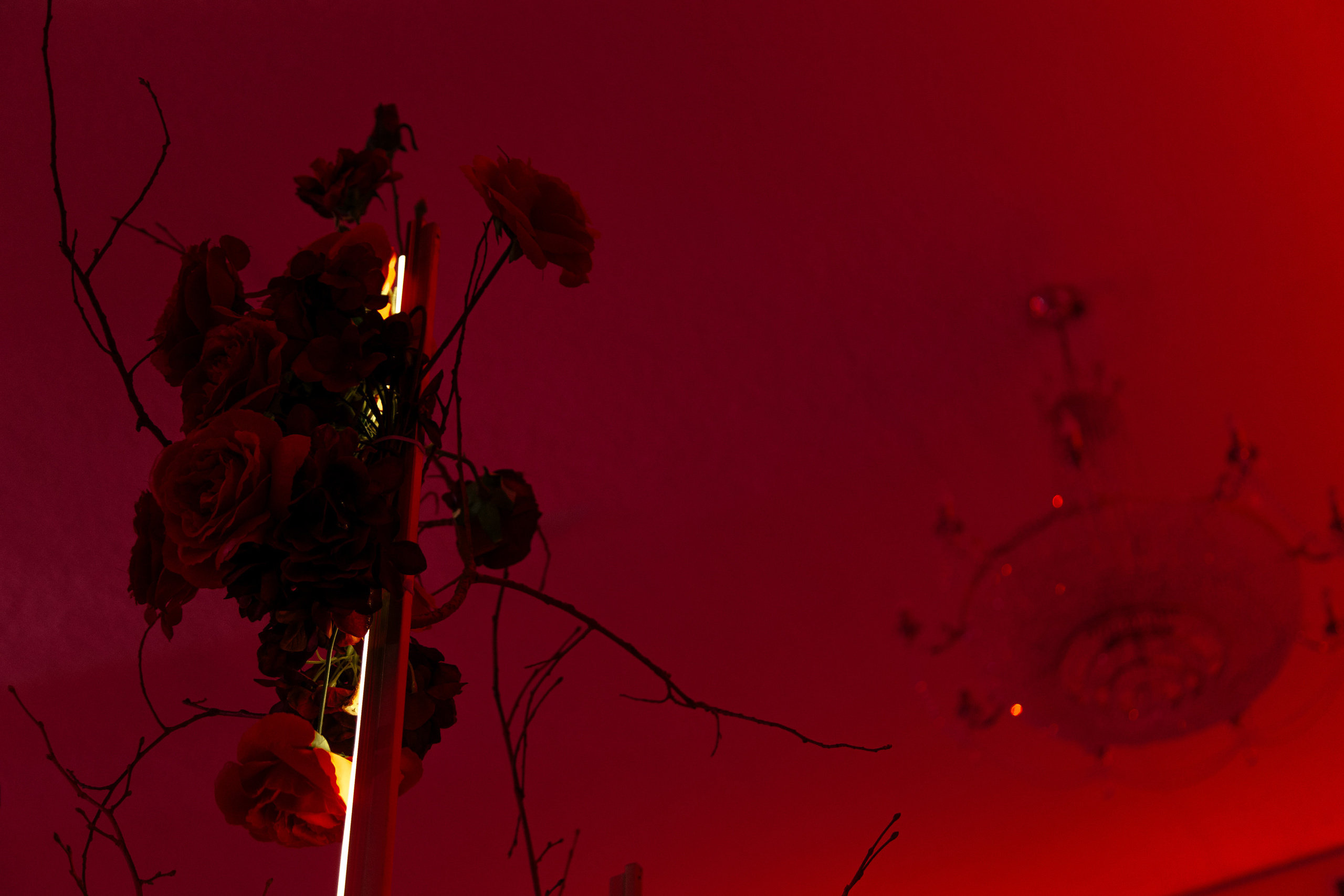 Марина и Артём. Свадебный фотограф Аня Милграм