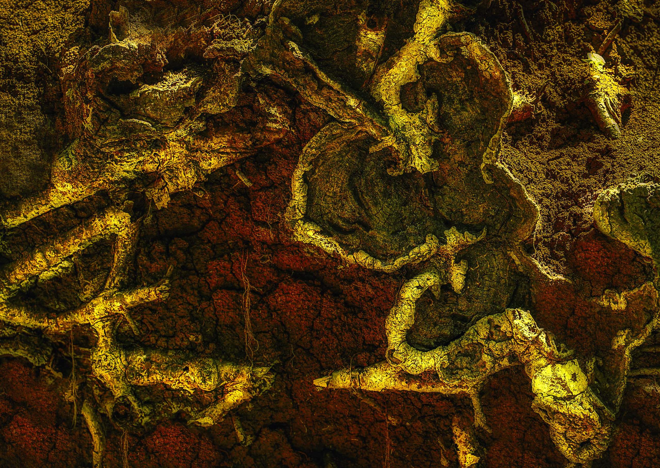 Творчество. Фотограф в Сочи Елена Лисотина. Фототуры в Сочи