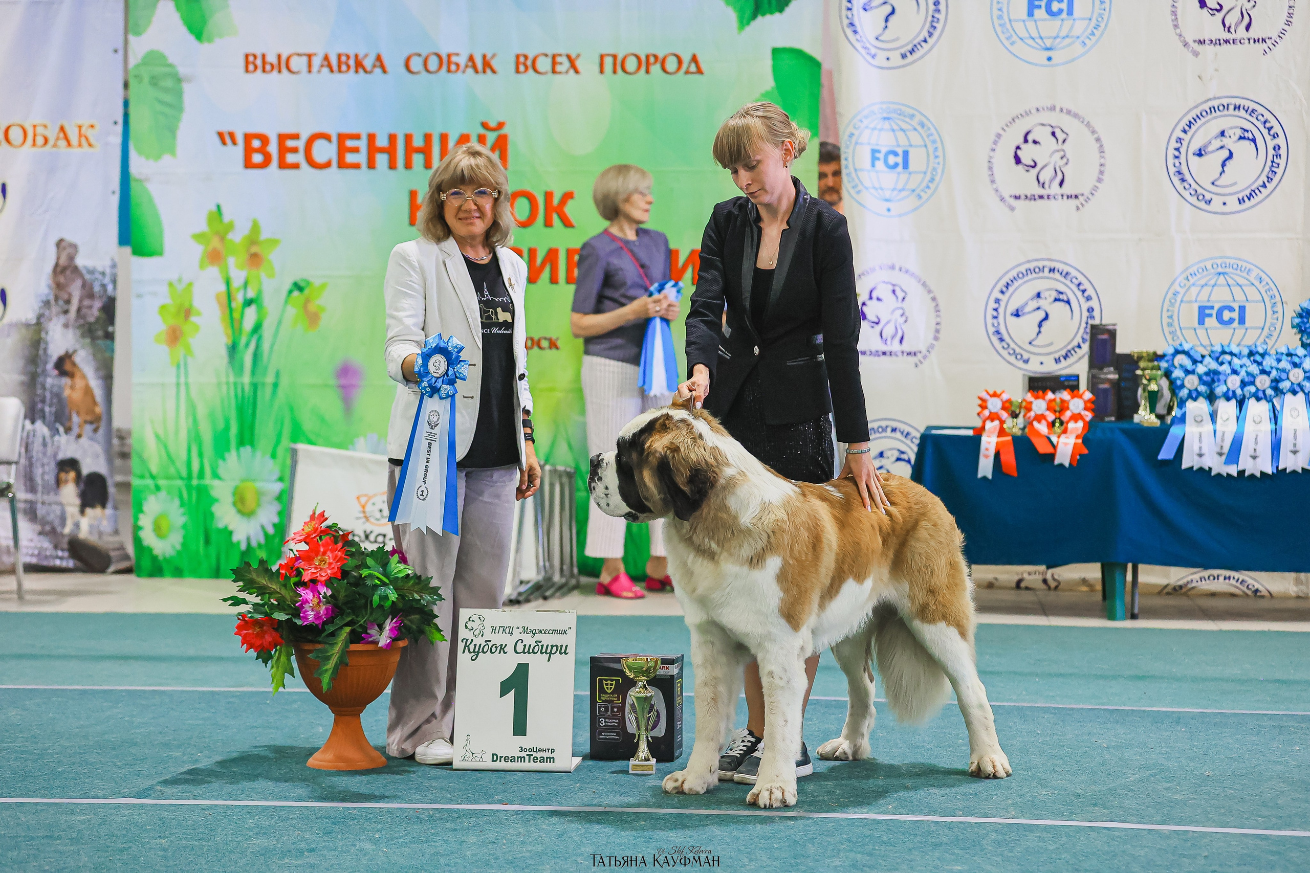 13.07.25 2х выставки собак. Новосибирск. «Кубок Сибири»