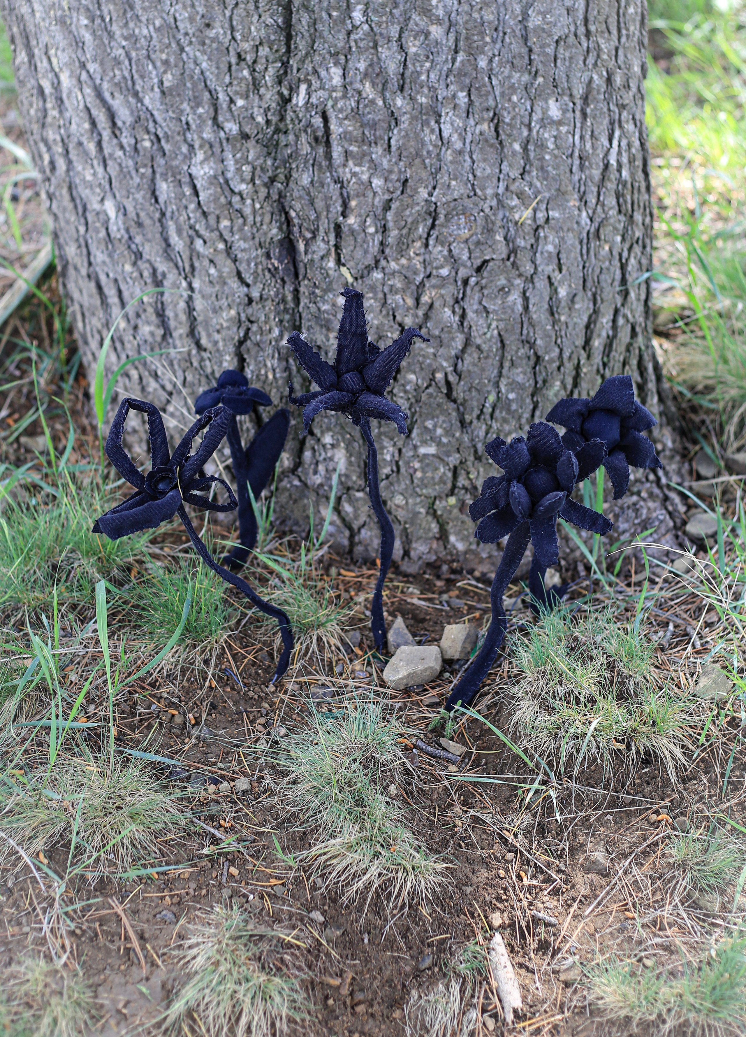 The exhibition under trees. KST