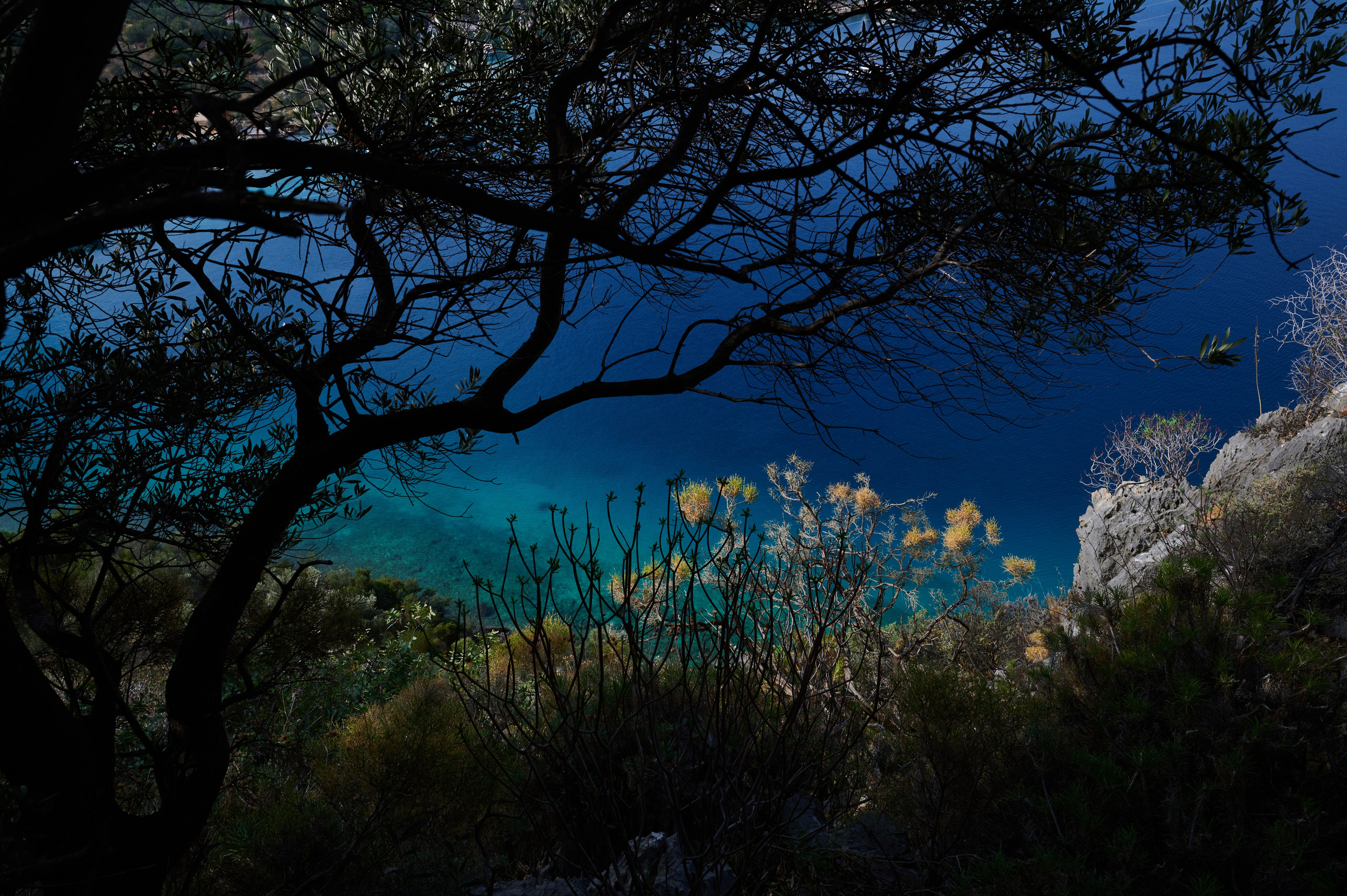 Photographer Yulia Lushnikova, Based in Valencia