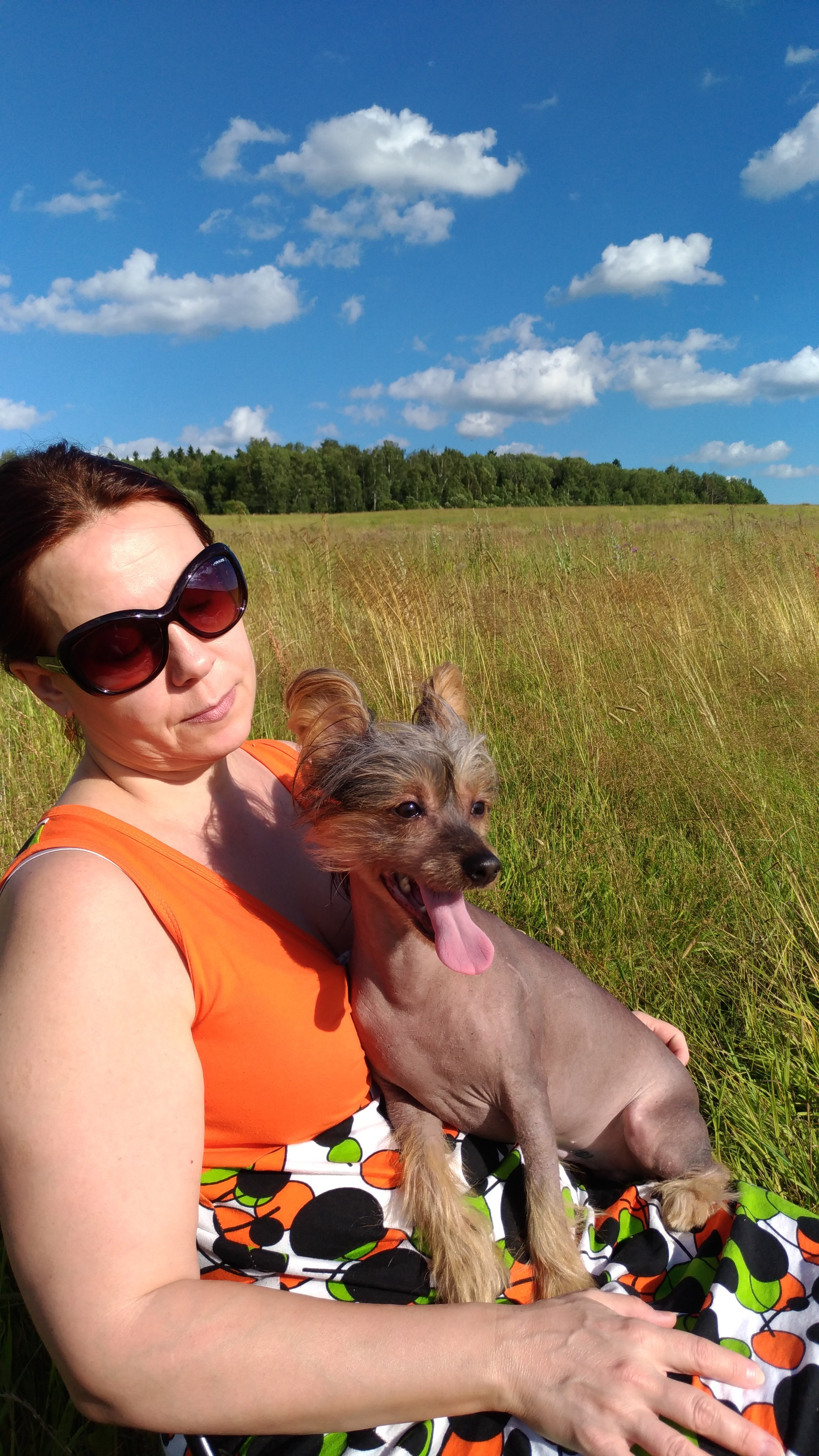 В поле под присмотром сокола. Питомник китайских хохлатых собак Poale Ell: купить щенка в питомнике