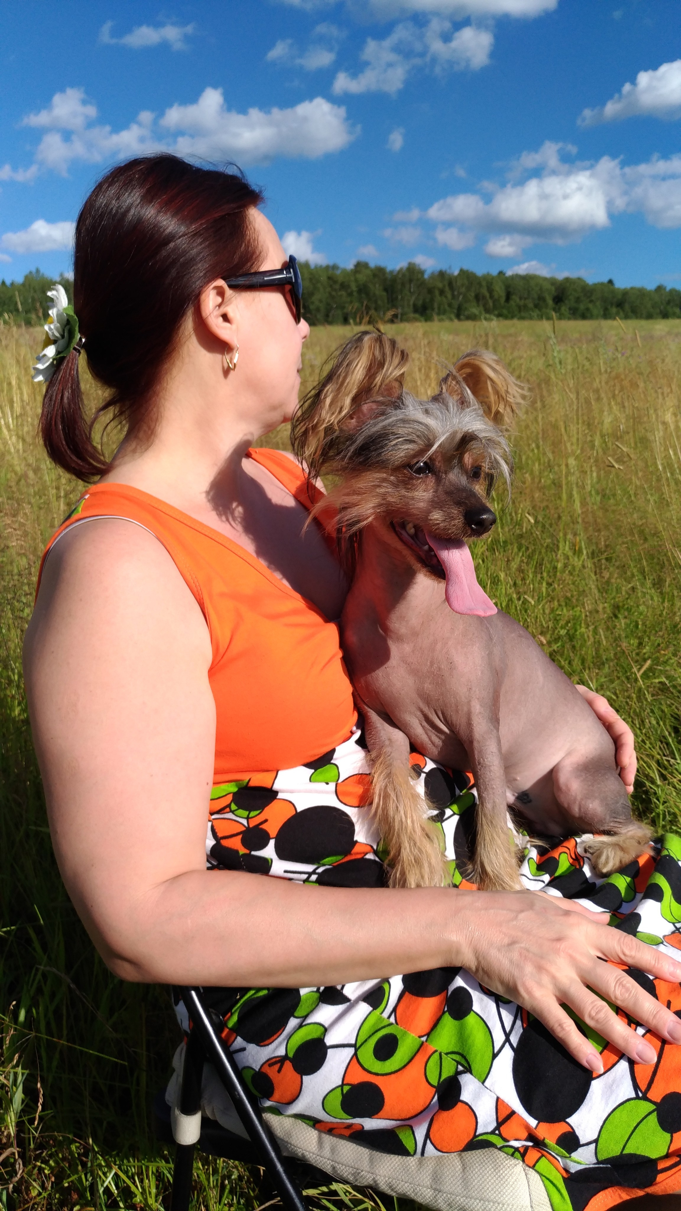 В поле под присмотром сокола. Питомник китайских хохлатых собак Poale Ell: купить щенка в питомнике