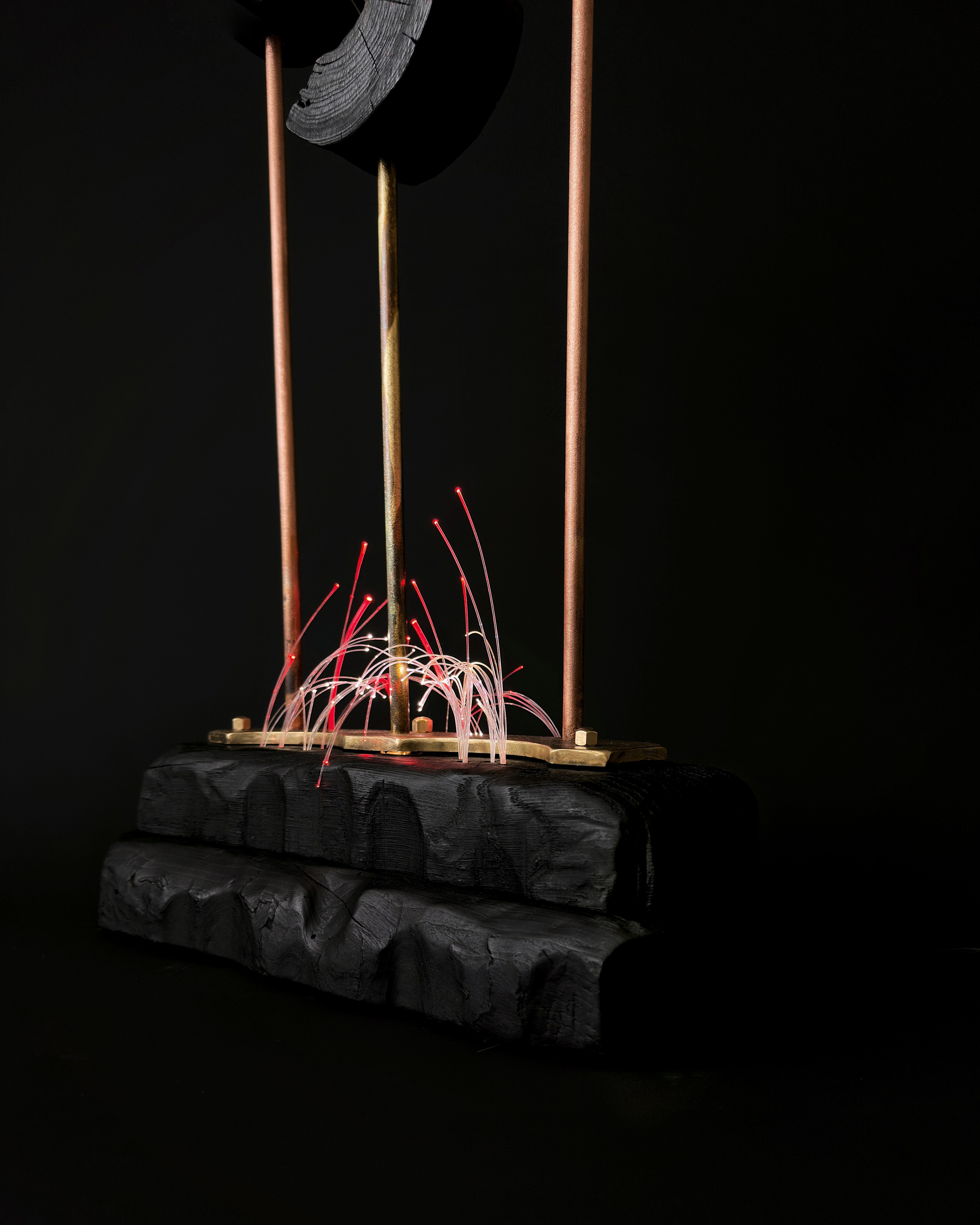 «Цветут Цветы». Арт-объекты. Коллекционный дизайн 47.XII