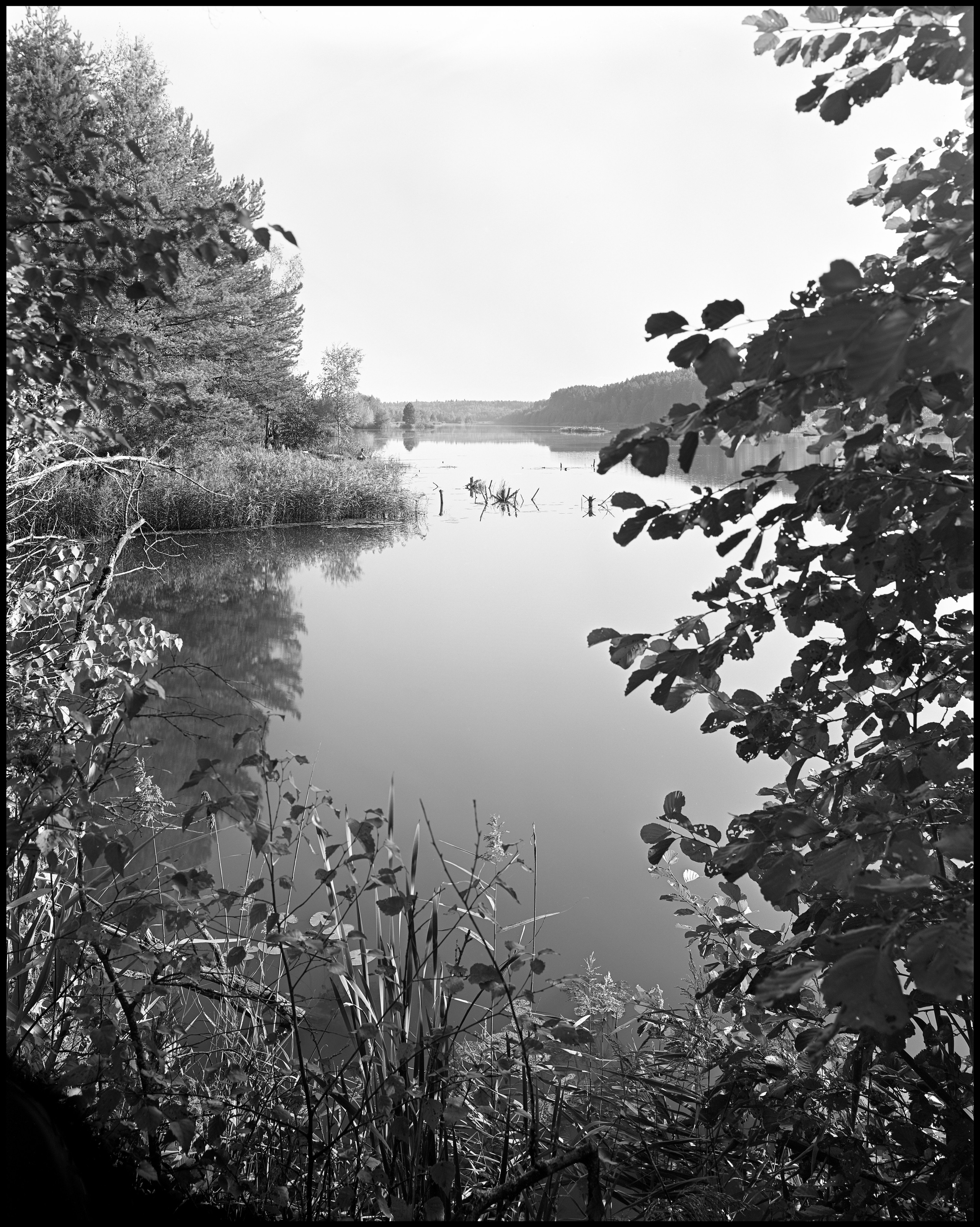 Landscape. Sergey Kondriuk art-photographer | artist