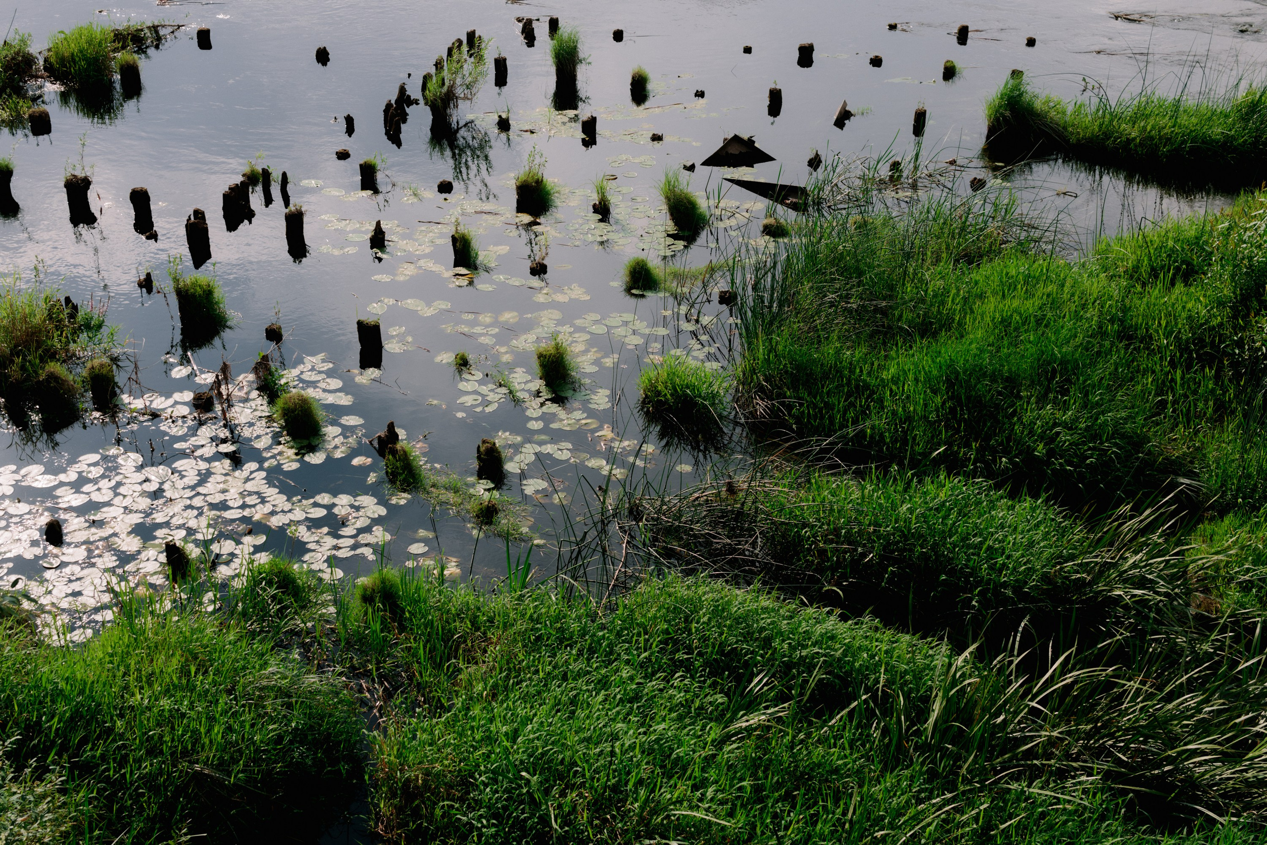 Василина и Михаил. Репортажный и портретный фотограф во Владимире Сергей Кравцов
