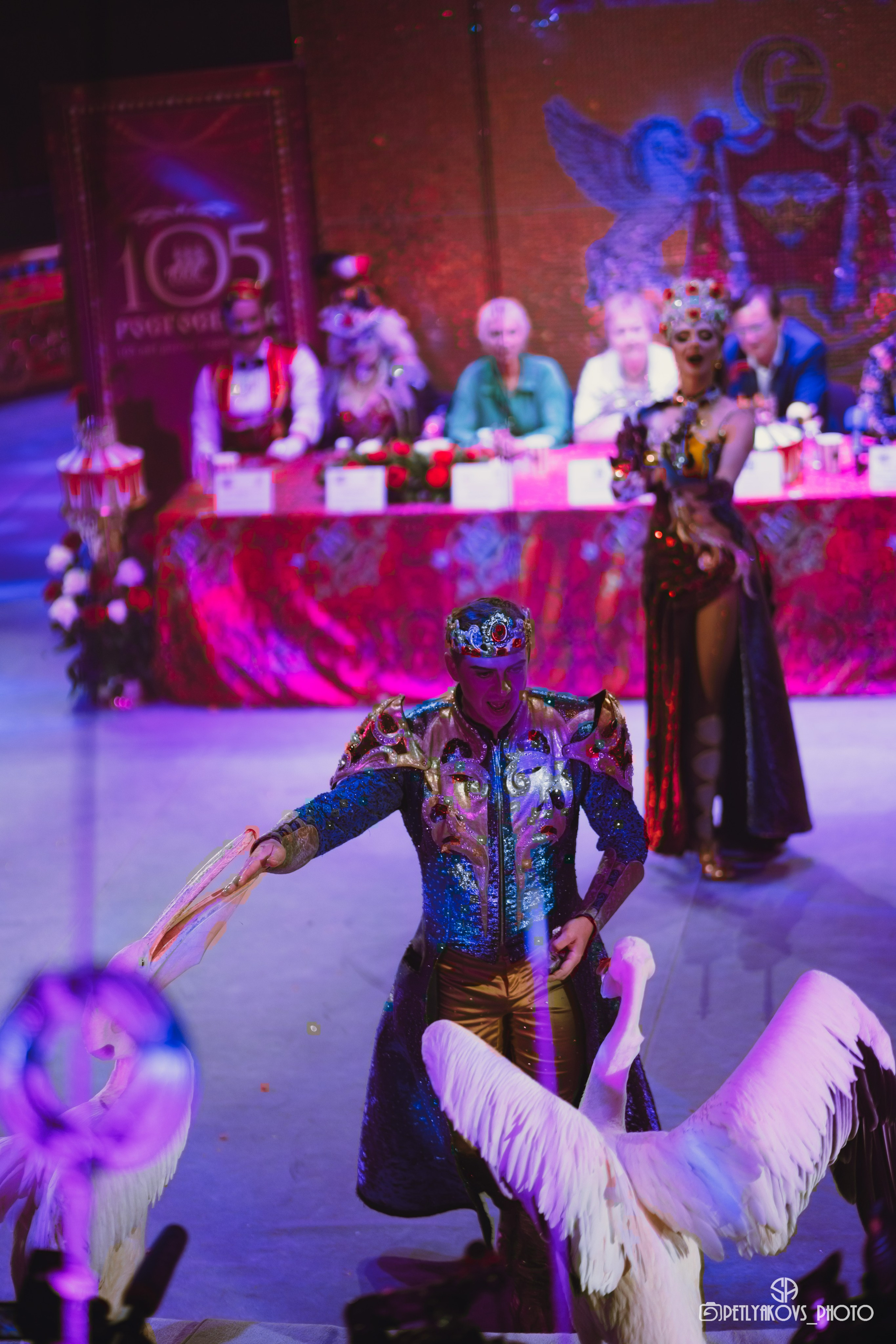 Пресс-конференция циркового шоу Гии Эрадзе «Бурлеск» (репортаж). Фотограф, видеограф Пятигорск, Ставрополь, Ессентуки, Petlyakovs_photo