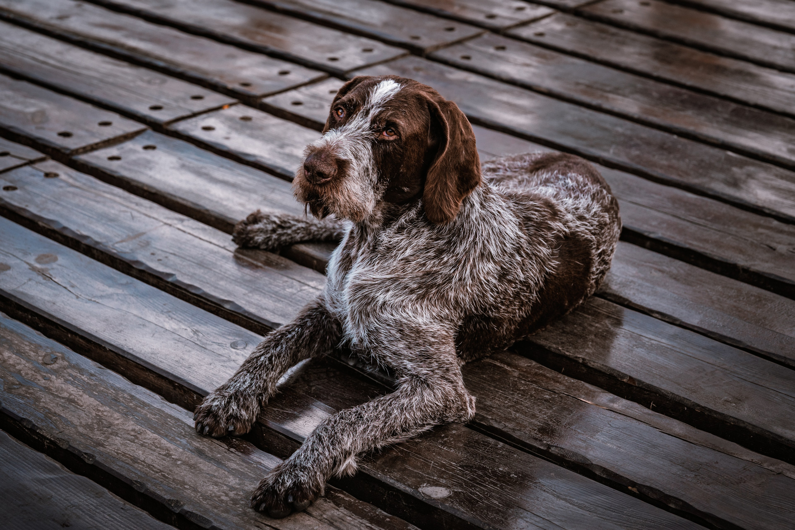 Пруд «Семейный» | с. Петровка. Иван Зайцев (IZIART) — создание культурного кода через фото и видео