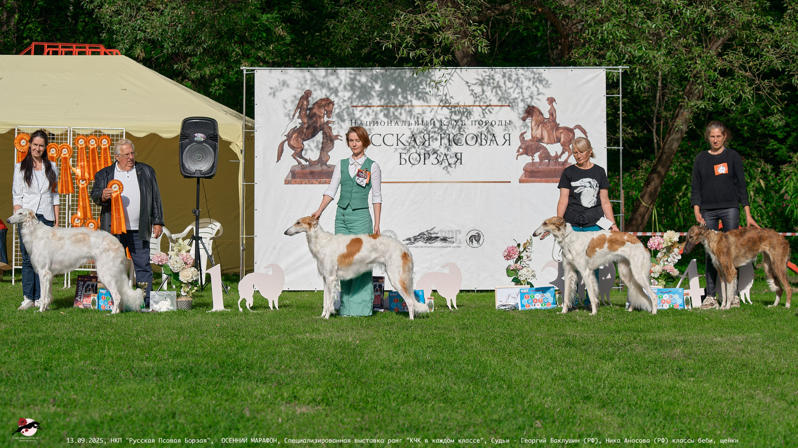 ОСЕННИЙ МАРАФОН | Специализированная выставка породы Русская Псовая Борзая ранг "КЧК в каждом классе"