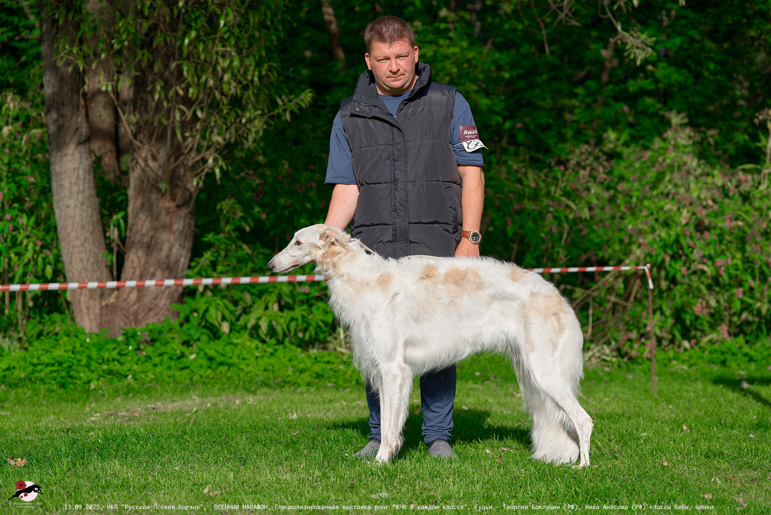 ОСЕННИЙ МАРАФОН | Специализированная выставка породы Русская Псовая Борзая ранг "КЧК в каждом классе"