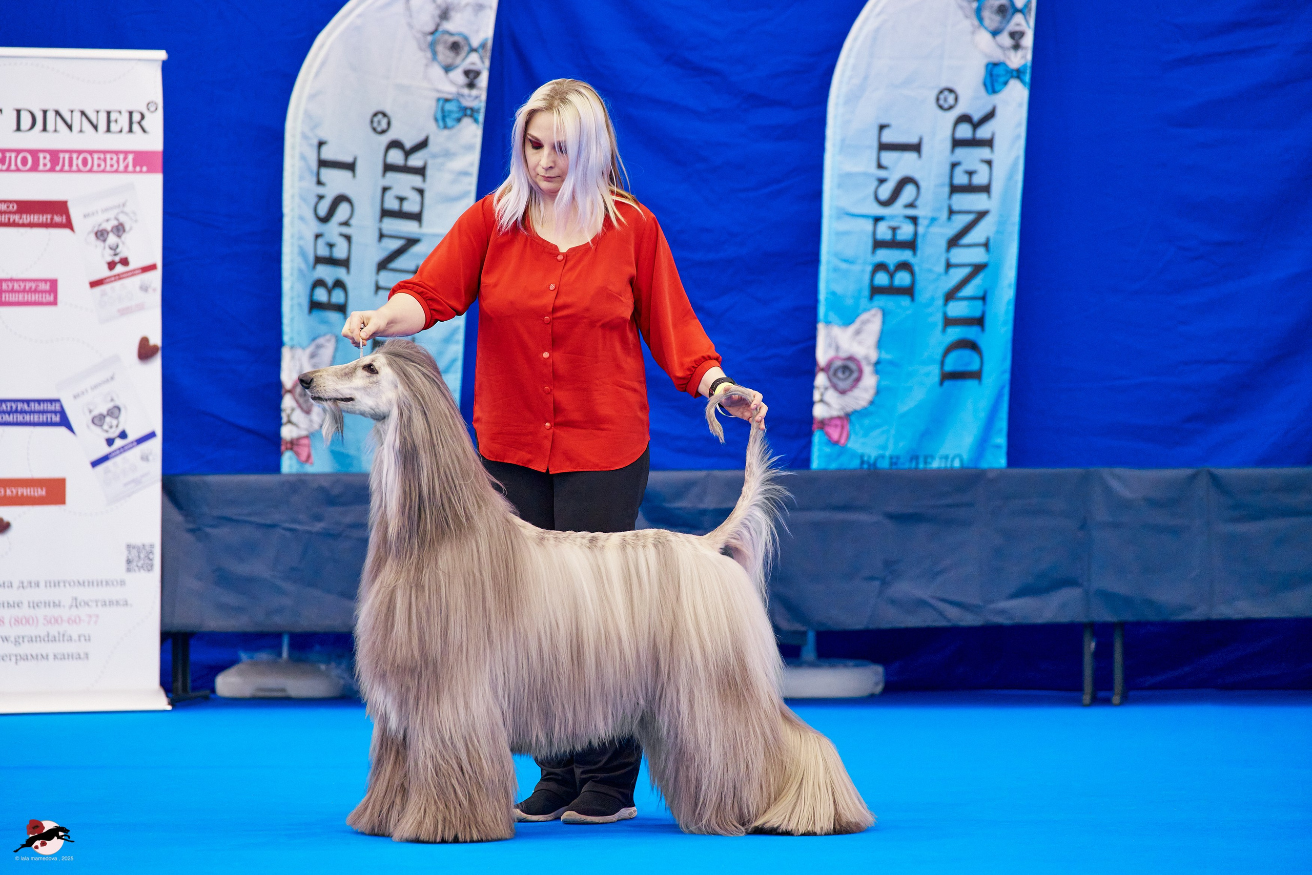 ГРАН ПРИ «ВЕСЕННИЙ ПЕТЕРБУРГ» & «СУПЕР КУБОК «ЭЛИТЫ»-2025»