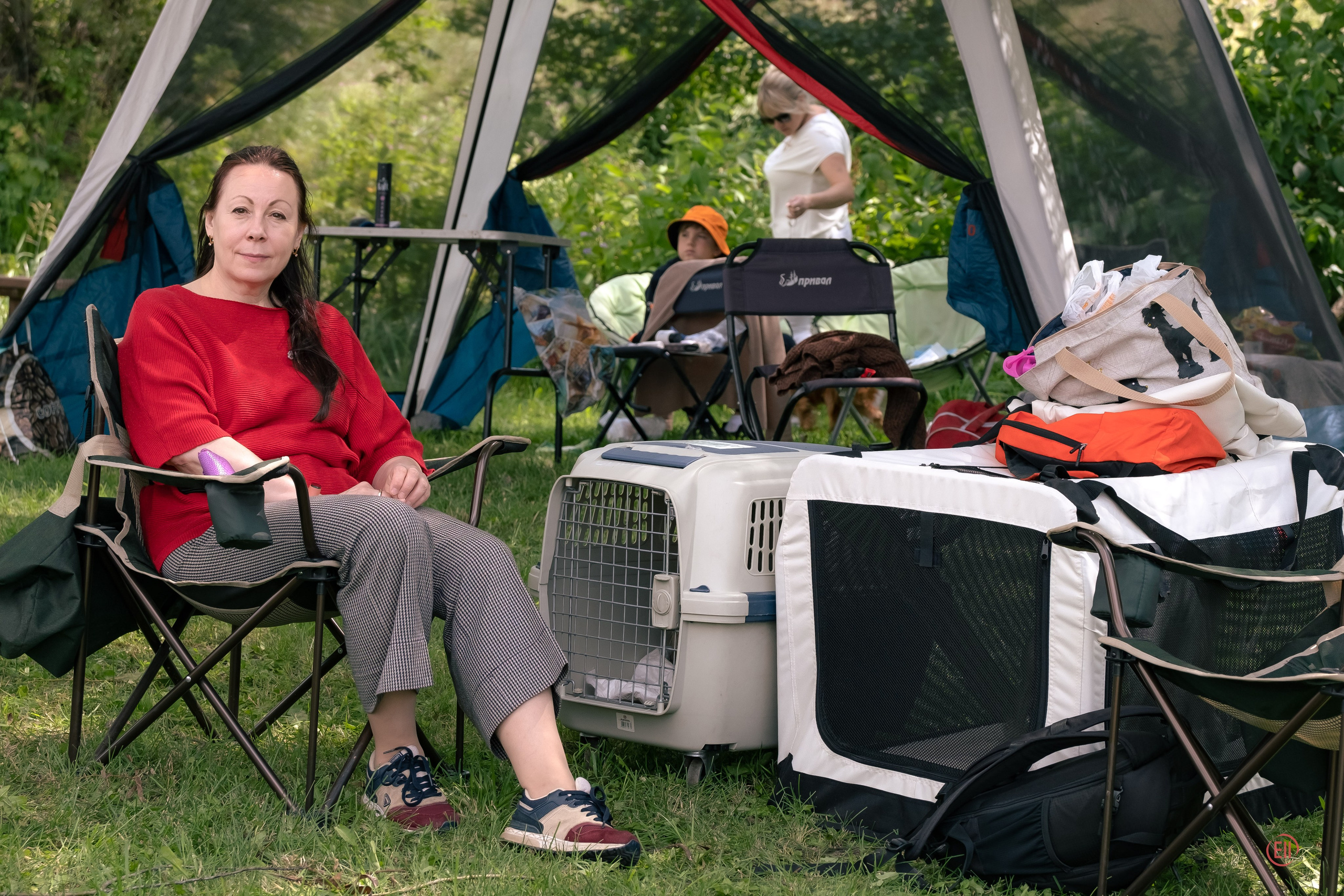 Липецк. Выставка собак. Питомник китайских хохлатых собак Poale Ell: купить щенка