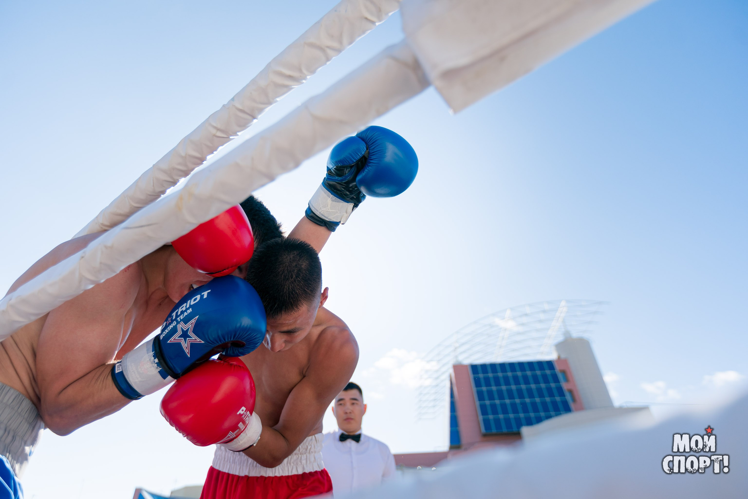 День бокса 2024. Студия «Мой Спорт!» — все о спорте в Якутии