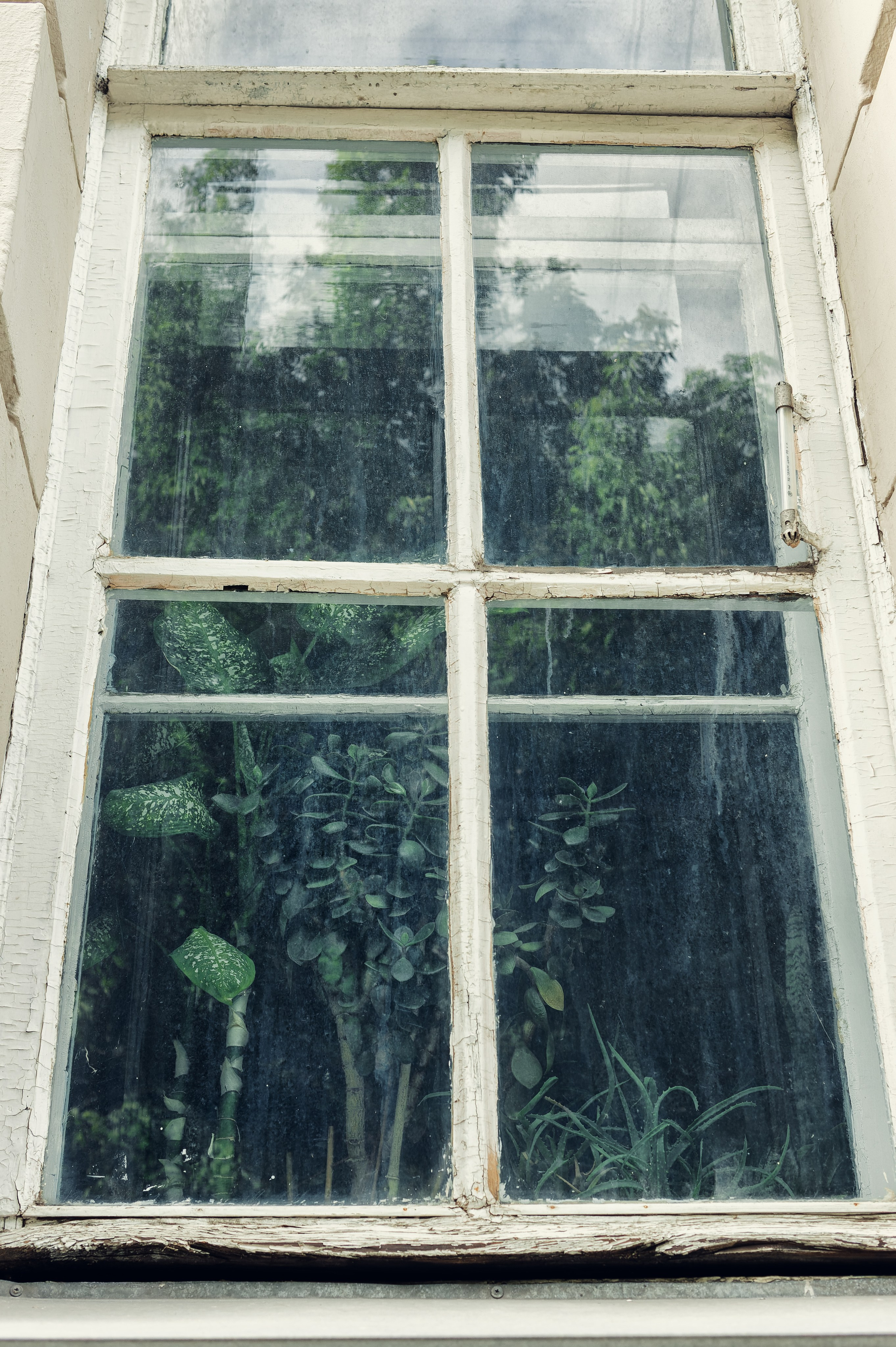 Фотограф на экскурсию Москва и Московская область