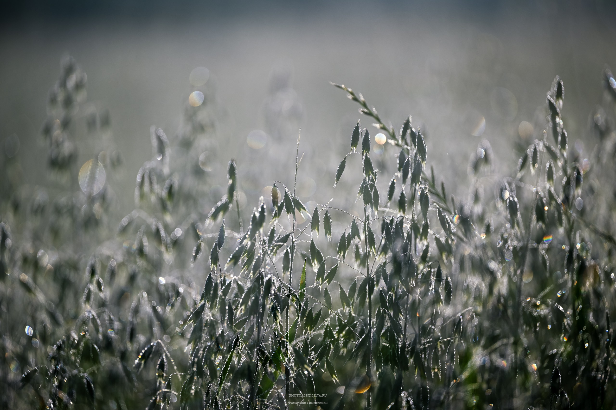 Долина Крете Сенези (Crete Senesi). Авторские стильные фотокартины