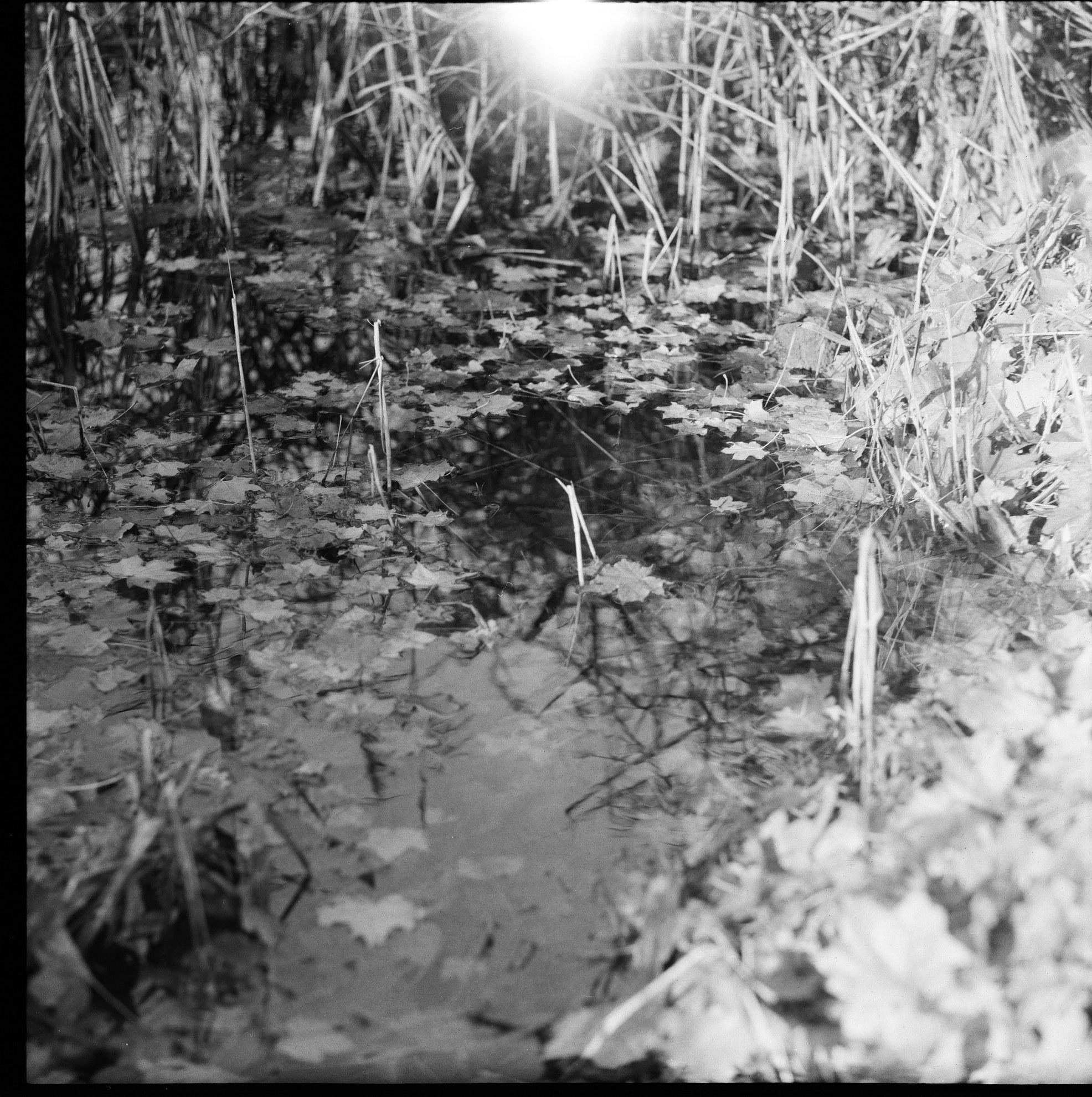 Усадьбы Яропольца. Paintings by the artist Sergey Ratchin