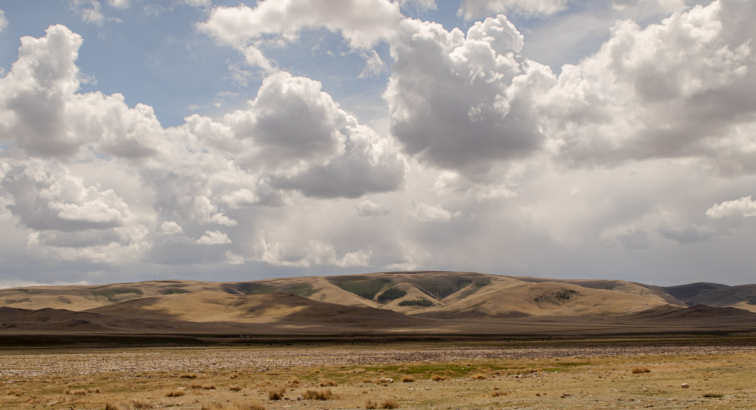 Горный Алтай. Фотограф Кирилл Мешков Кемерово