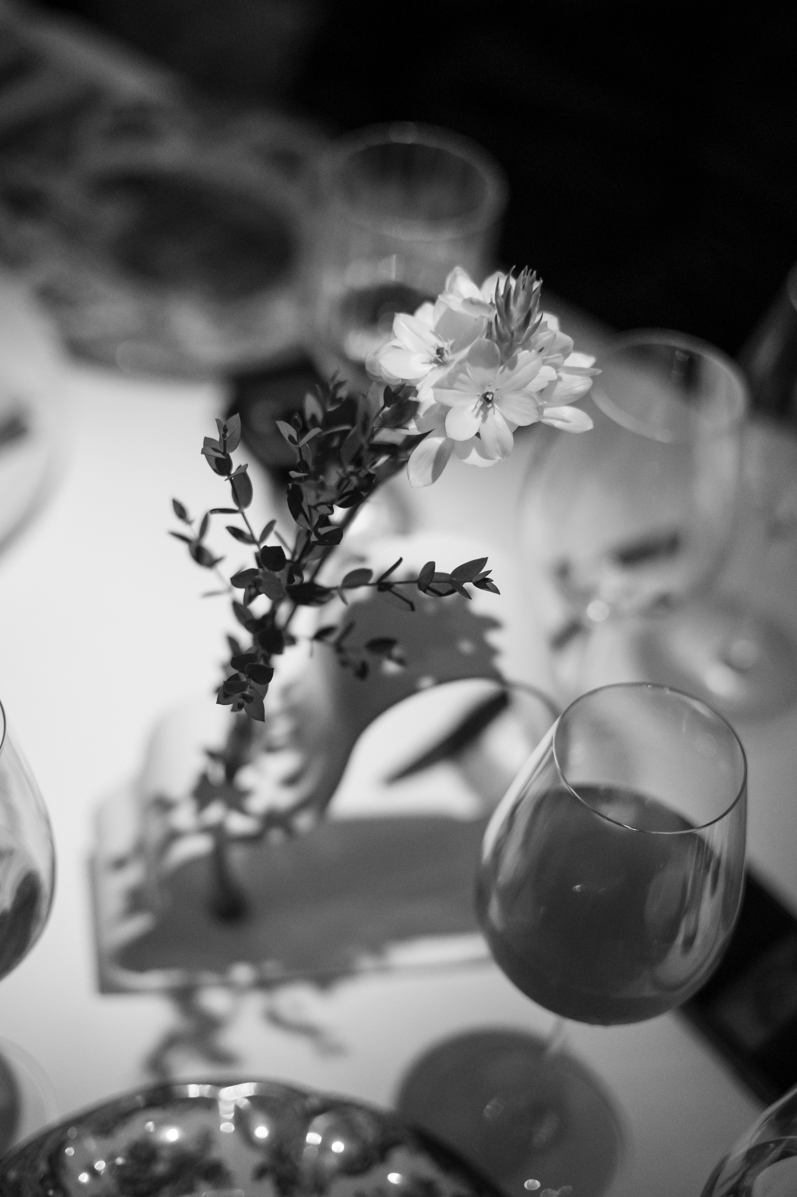 День рождения, ресторан «Пафос». Свадебный и репортажный фотограф (Москва, Королев и другие)