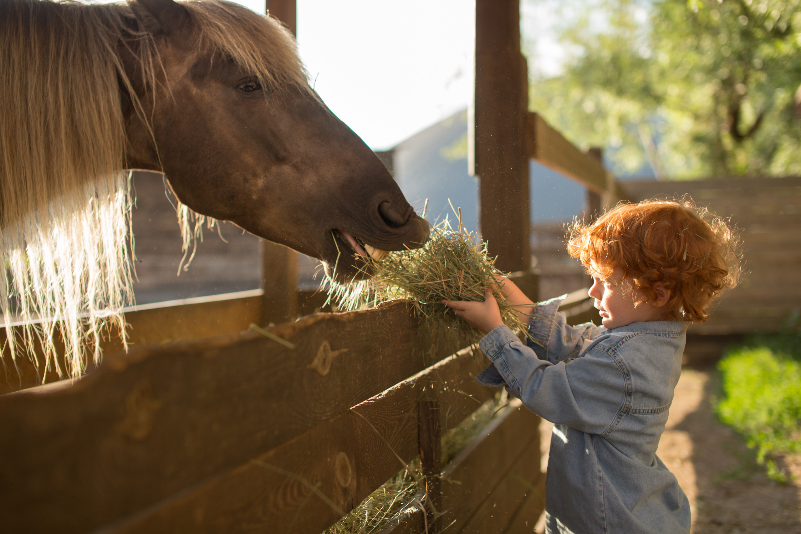 Семейная фотосессия в «Воздухе». Фотограф в Оренбурге. Профессиональный фотограф
