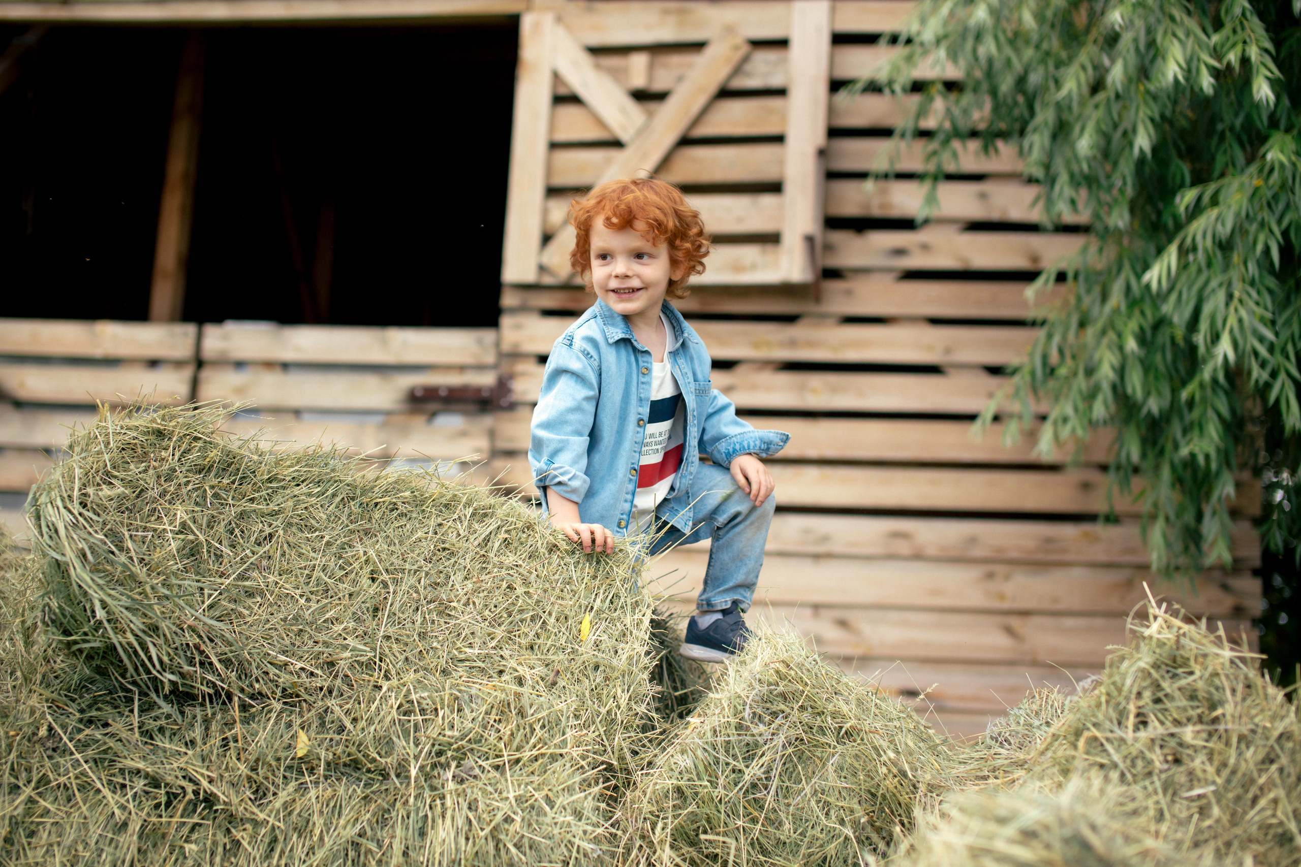 Семейная фотосессия в «Воздухе». Фотограф в Оренбурге. Профессиональный фотограф