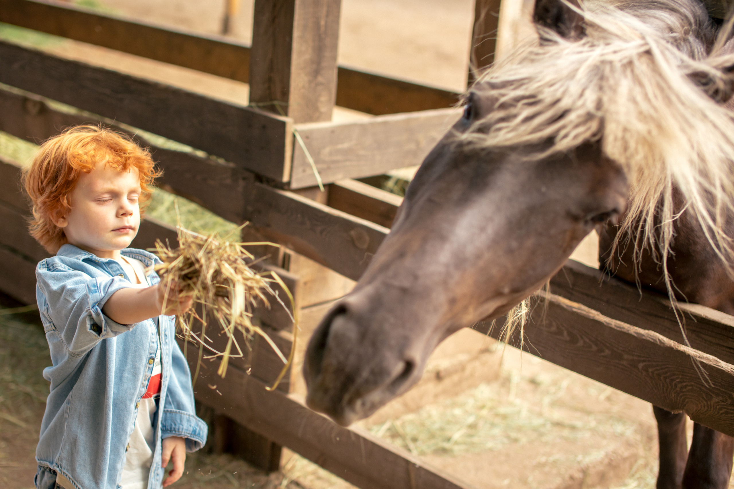 Семейная фотосессия в «Воздухе». Фотограф в Оренбурге. Профессиональный фотограф