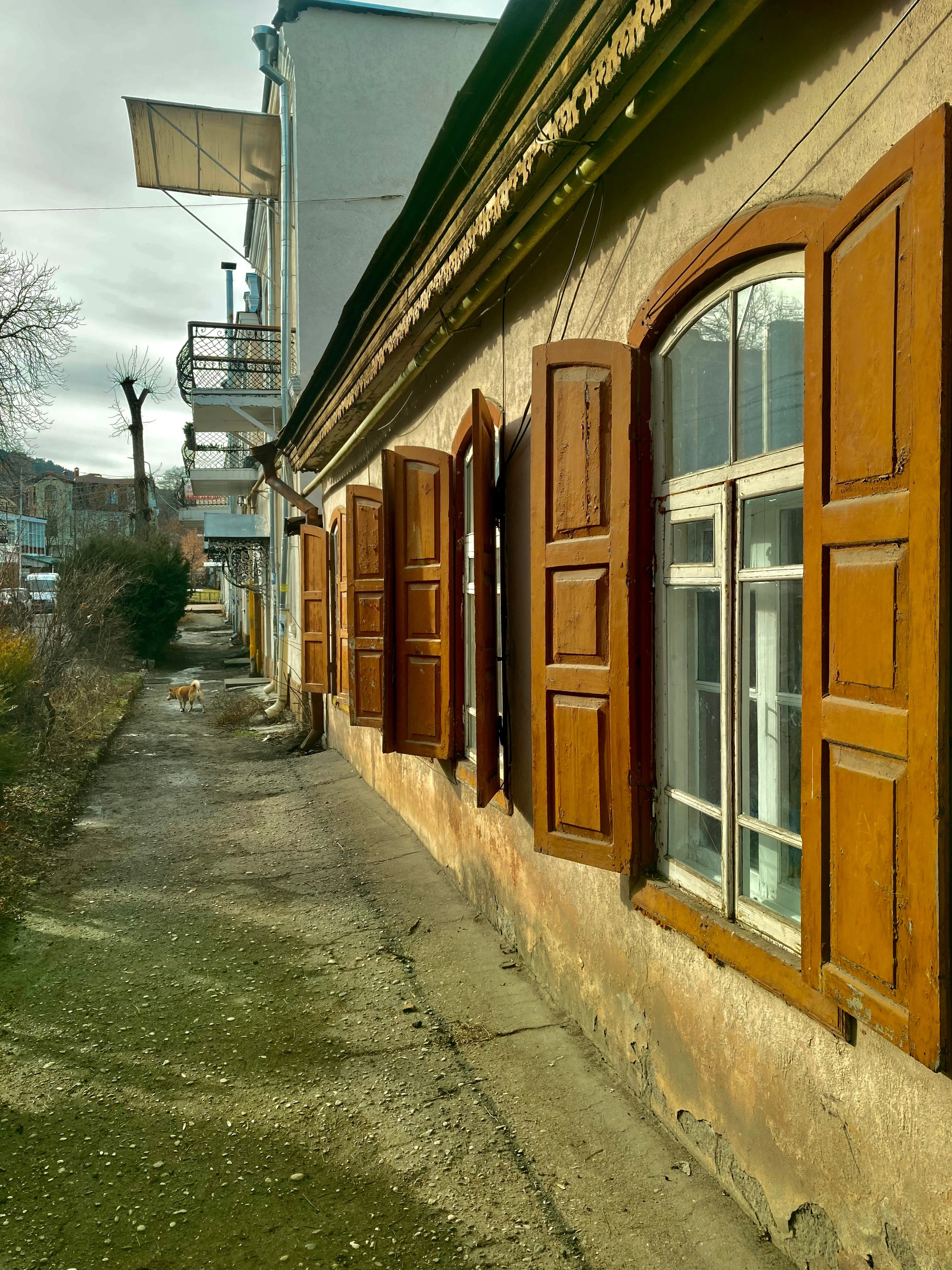 Кисловодск. Смотри, красота!