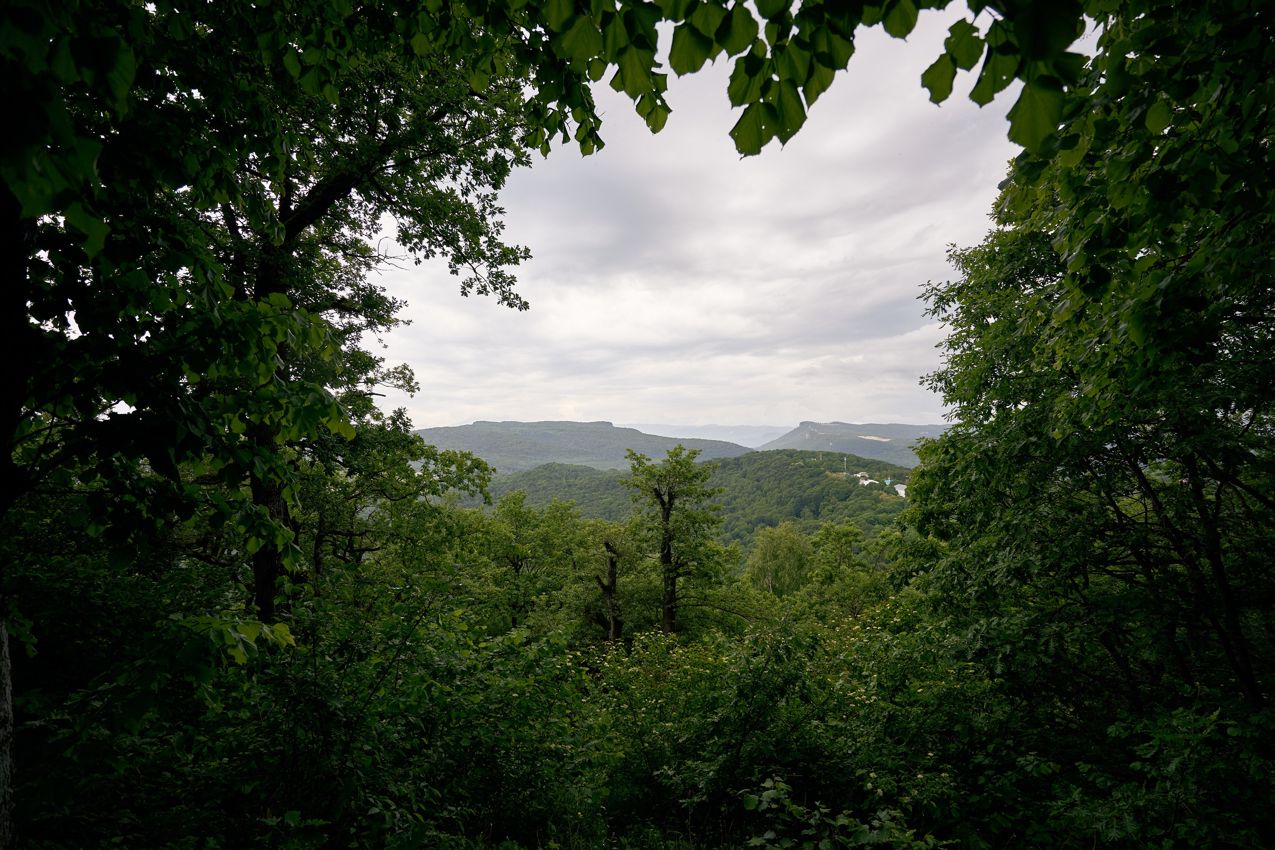 Монастырь. Петр Ступень. Свадебное, семейное фото и видео. Москва. Краснодар