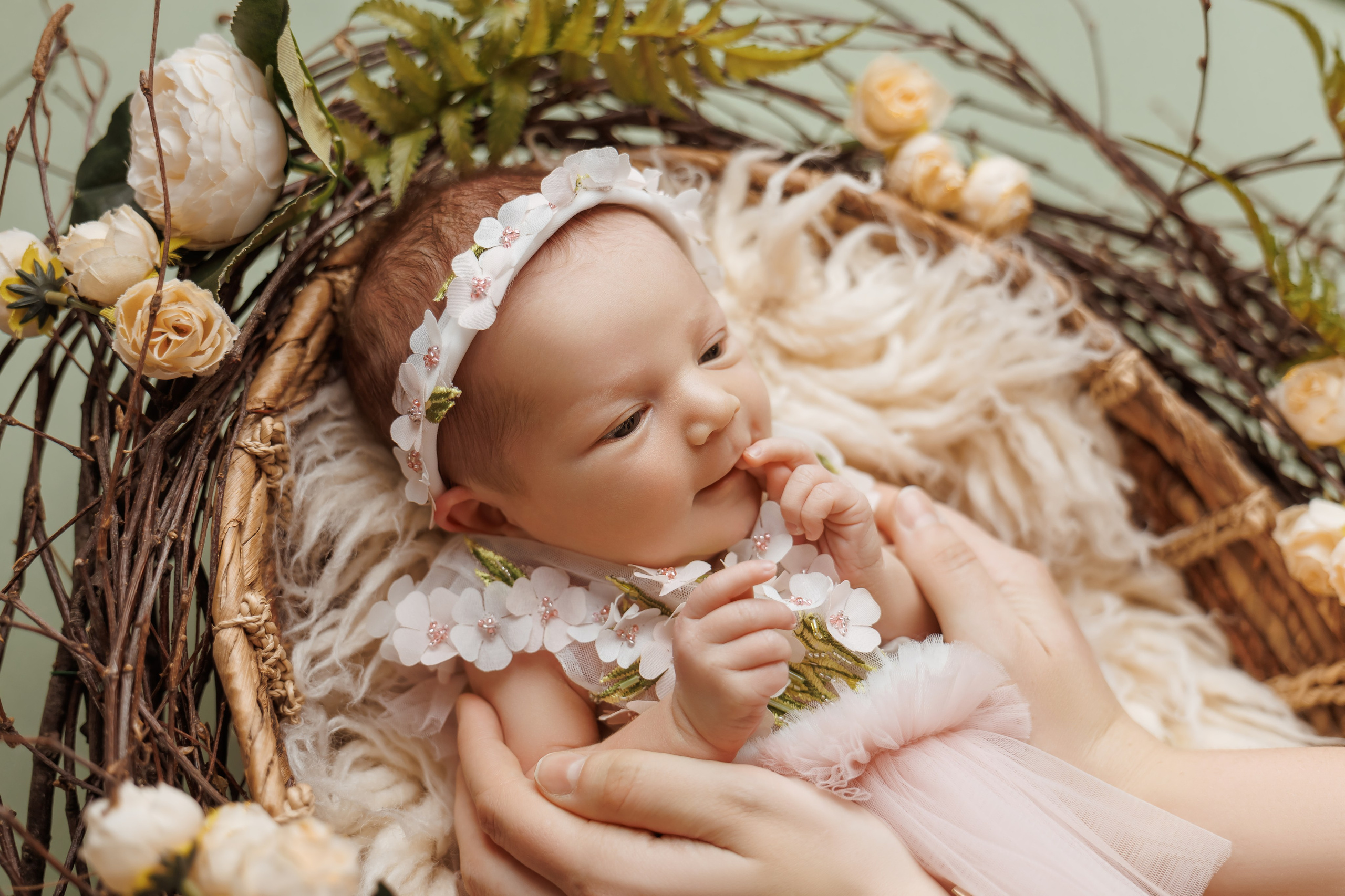 Девочки (Классика Newborn). Детский, семейный и фотограф новорождённых в Ярославле Анна Салова