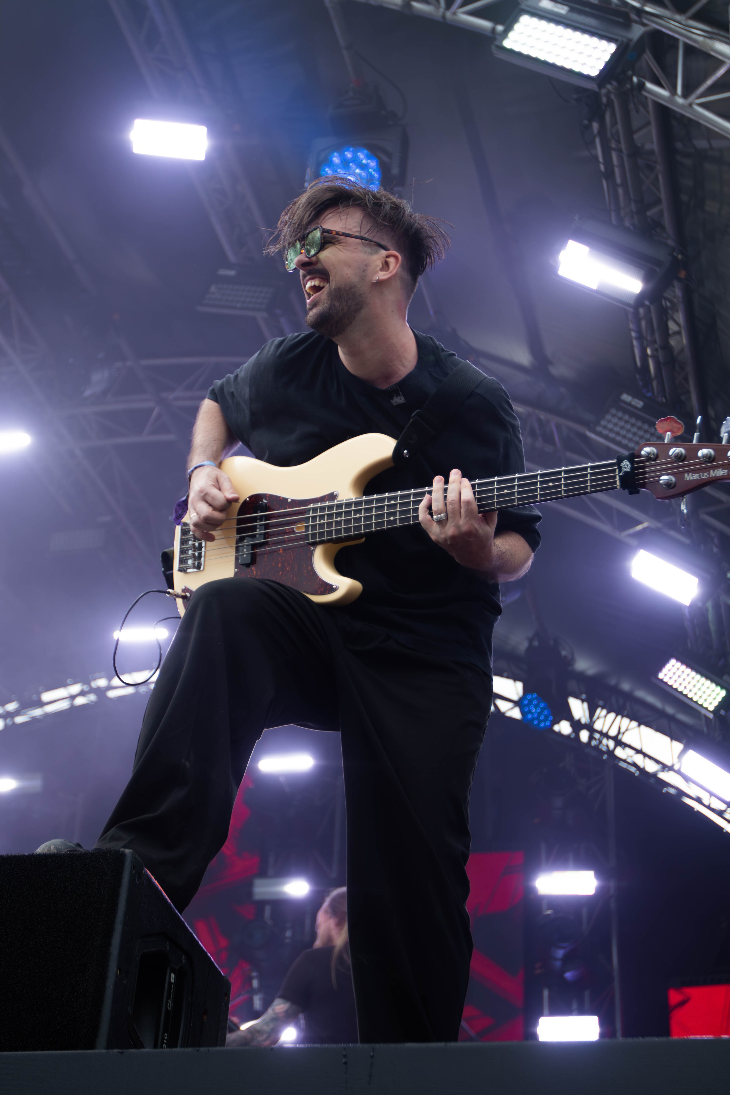 Дикая мята 2025. Концертный фотограф