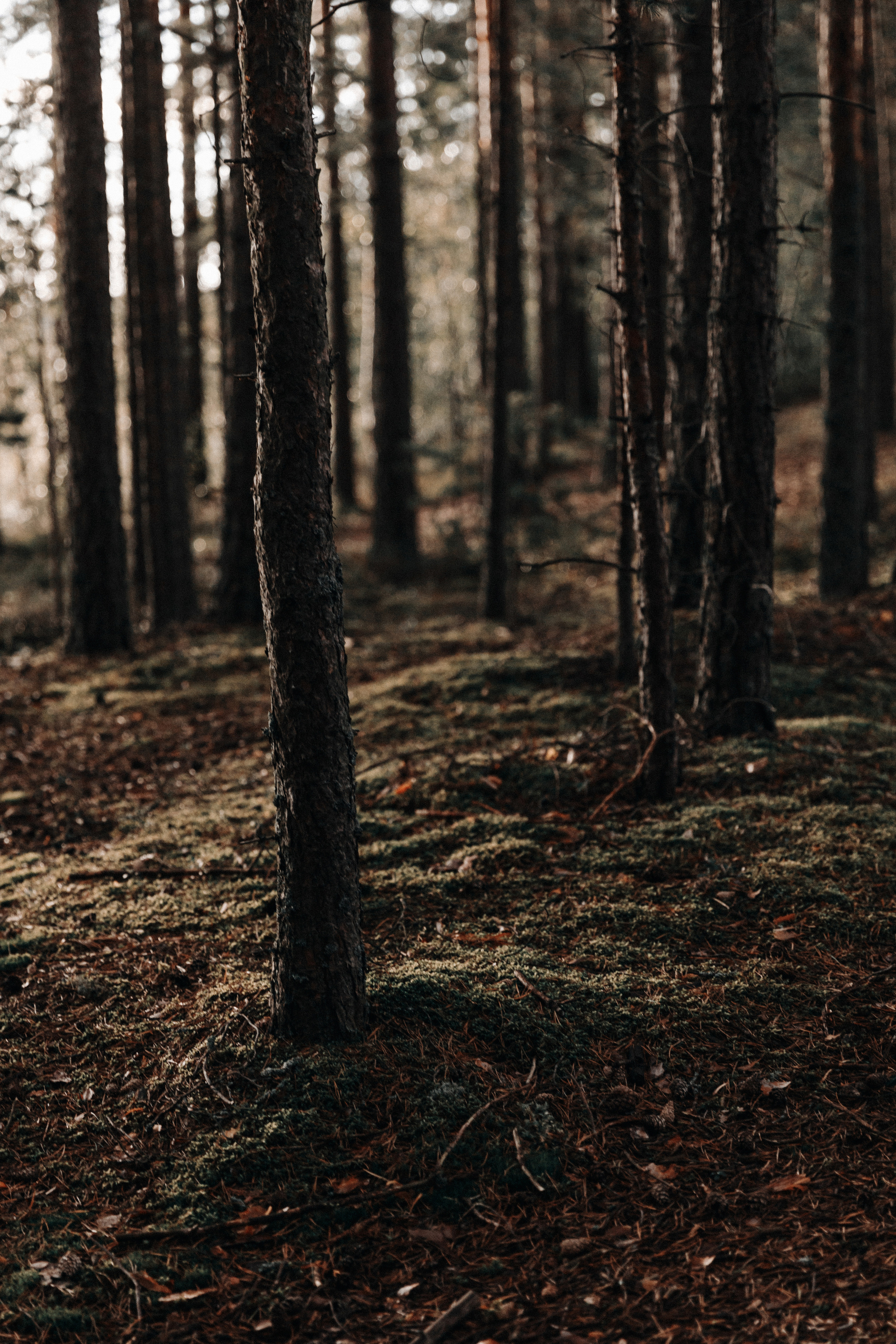 Штормовое предупреждение. Свадебный фотограф Алина Ампер