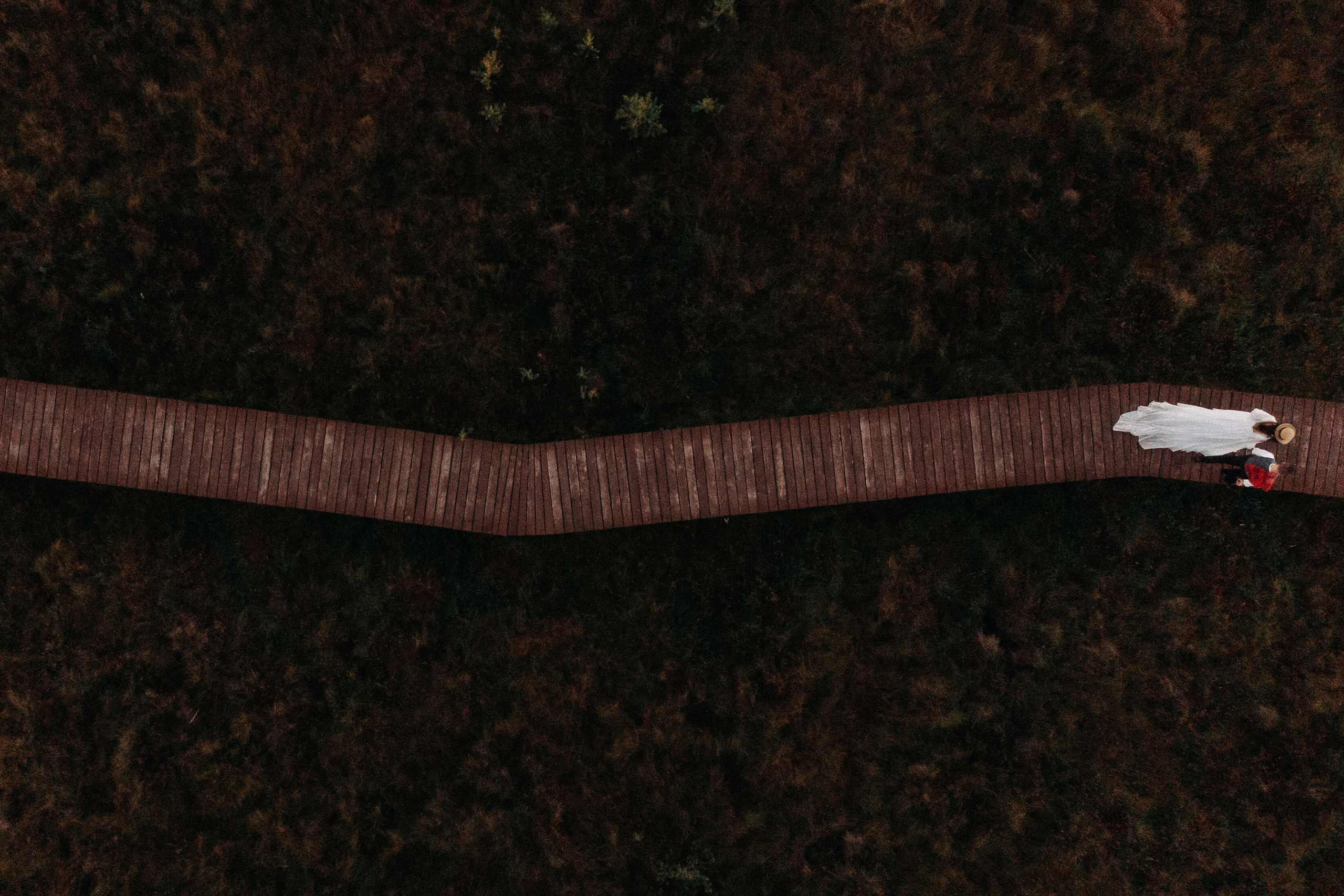 Штормовое предупреждение. Свадебный фотограф Алина Ампер