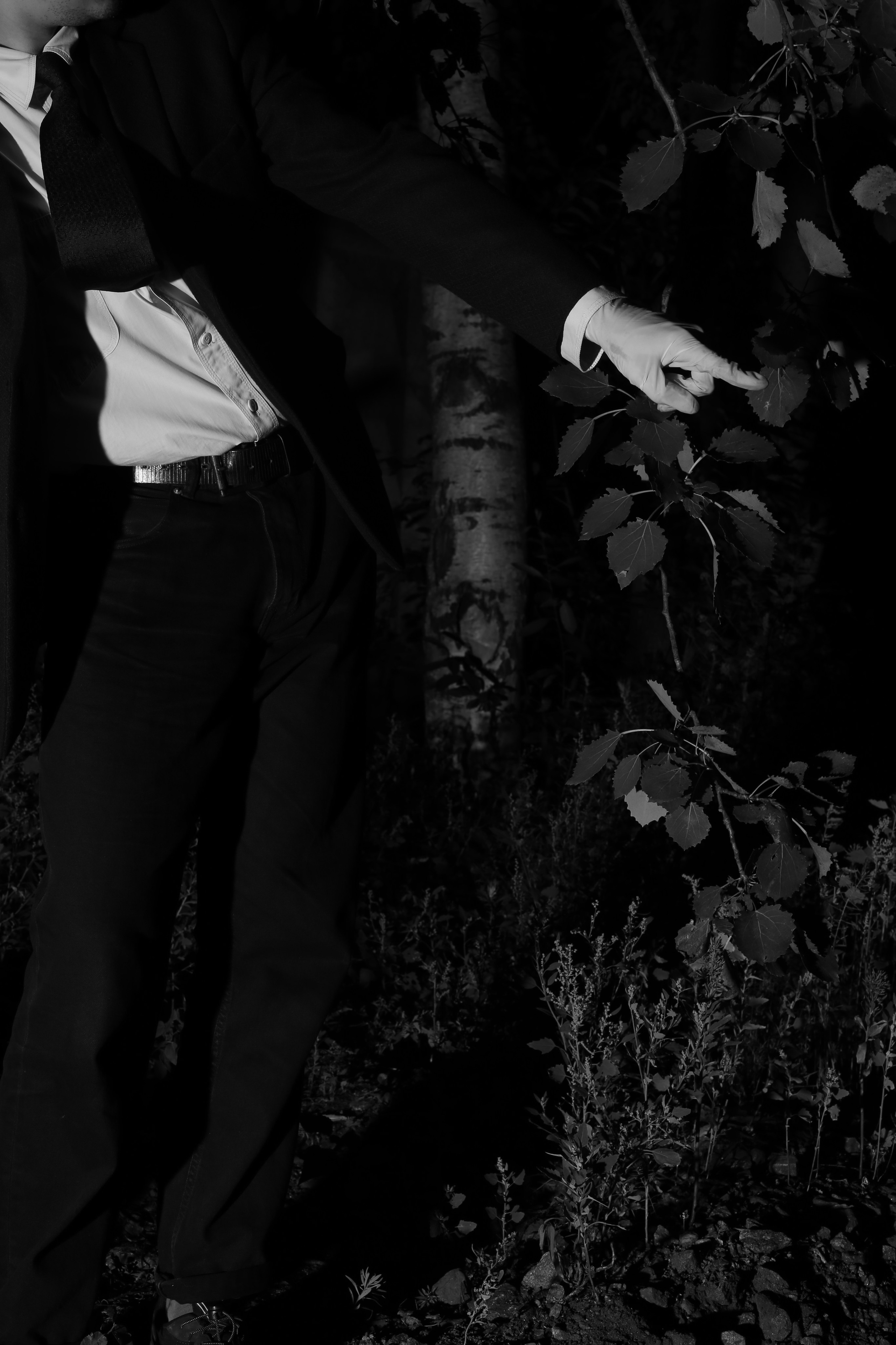 Fruits still falls from apple trees. Kristina Sergeeva