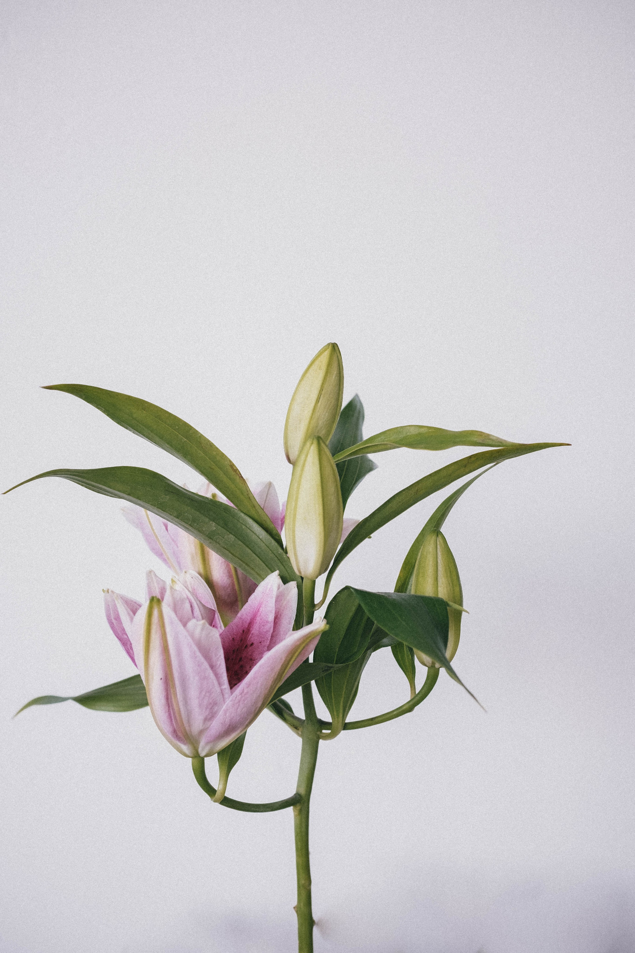 Фотограф в Москве — Анна Киселёва | портреты и тёплые истории